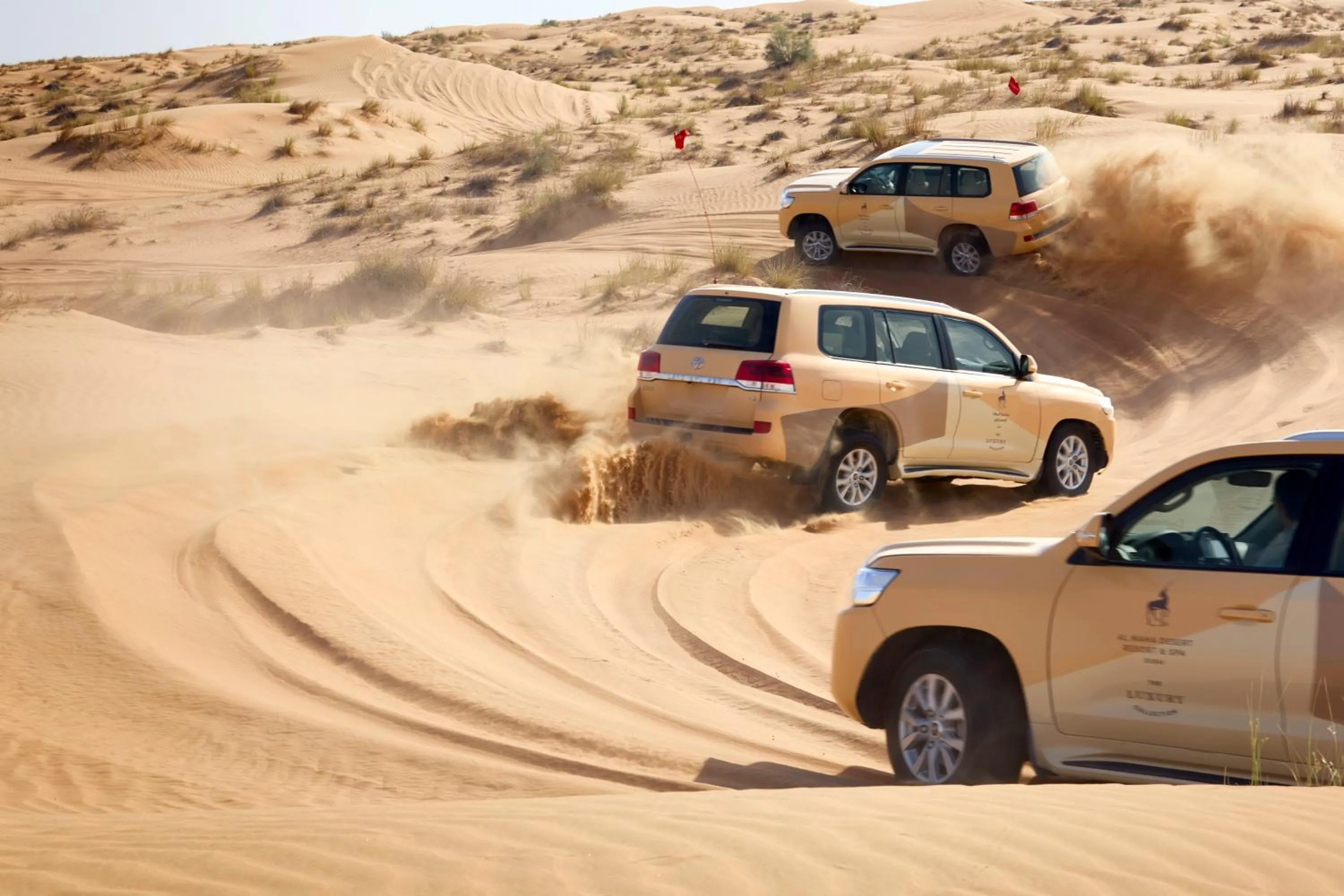 Activities in Al Maha, a Luxury Collection Desert Resort & Spa, Dubai