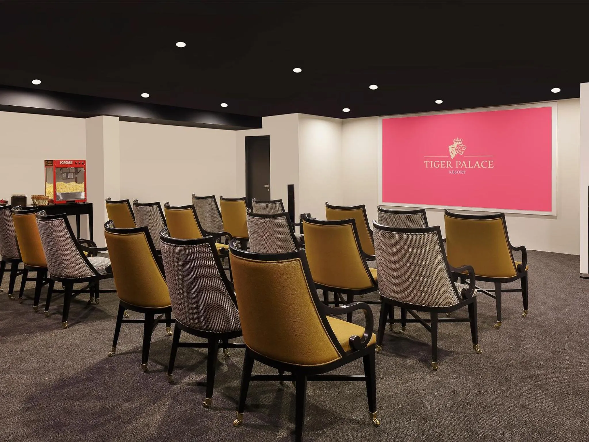 Communal lounge/ TV room in Tiger Palace By Soaltee