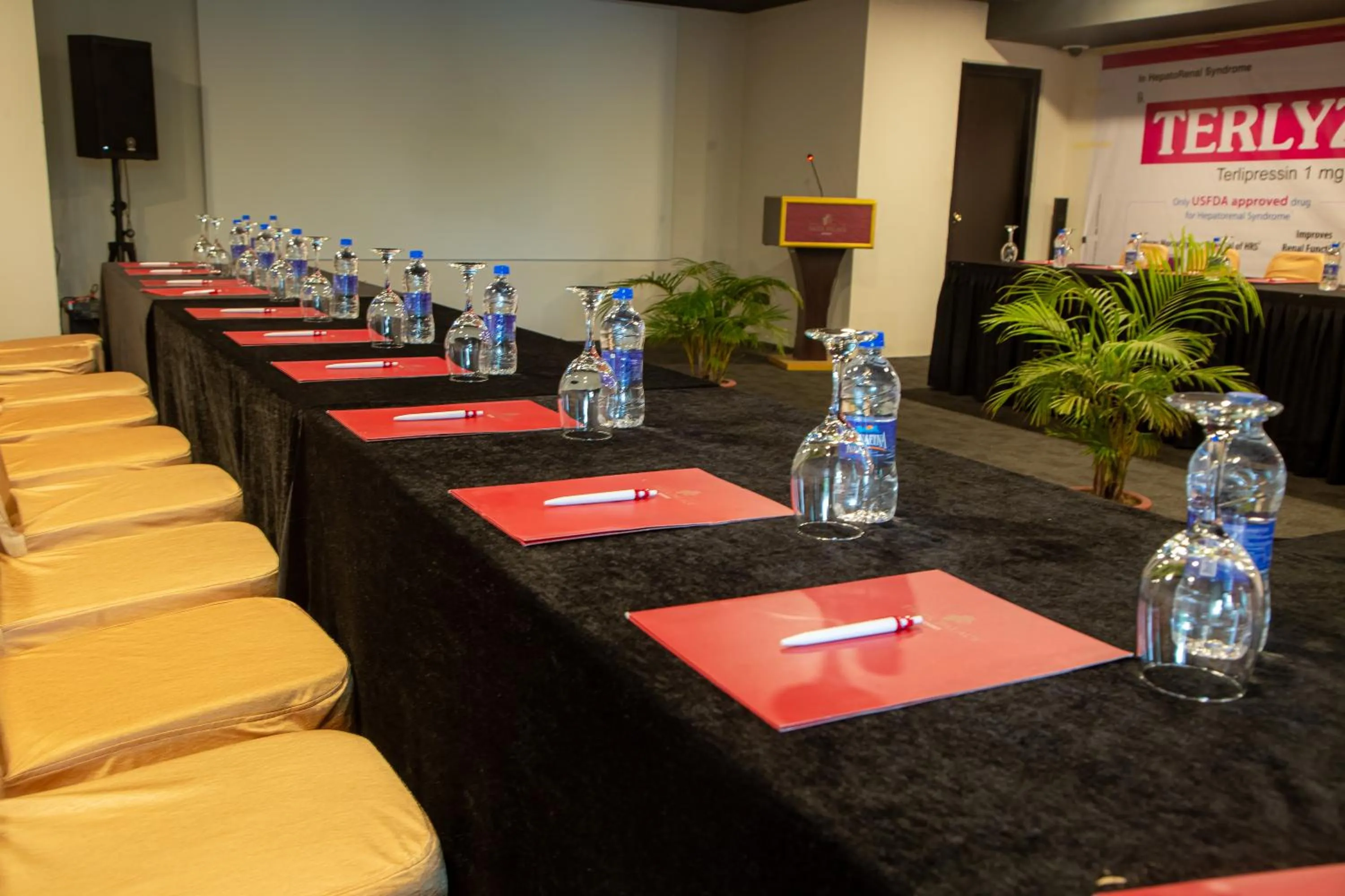 Business facilities in Tiger Palace By Soaltee