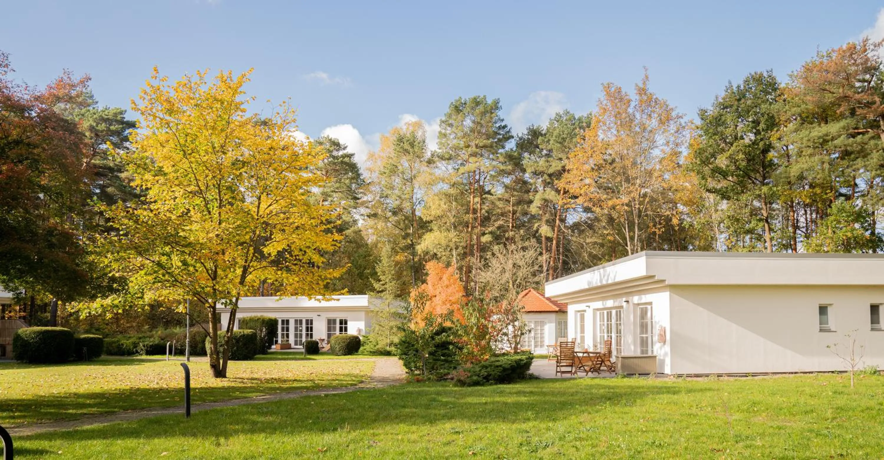 View (from property/room) in Hotel Waldhaus Prieros