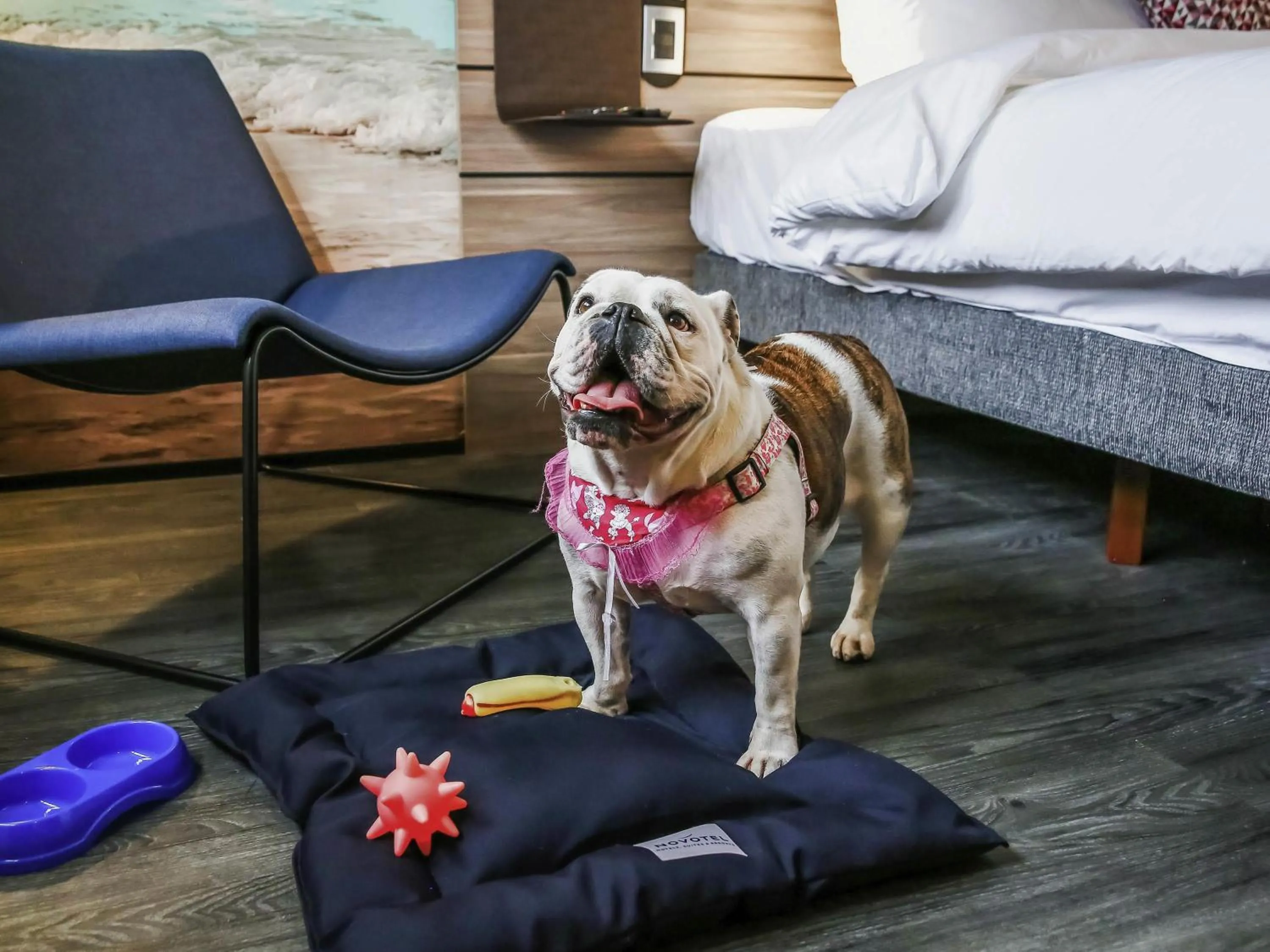 Bedroom in Novotel Sorocaba