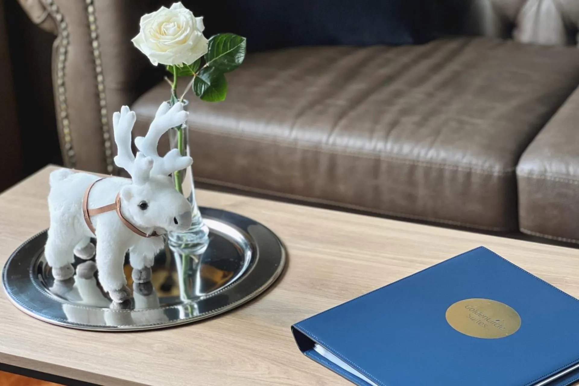 Hotel Golden Circle Suites