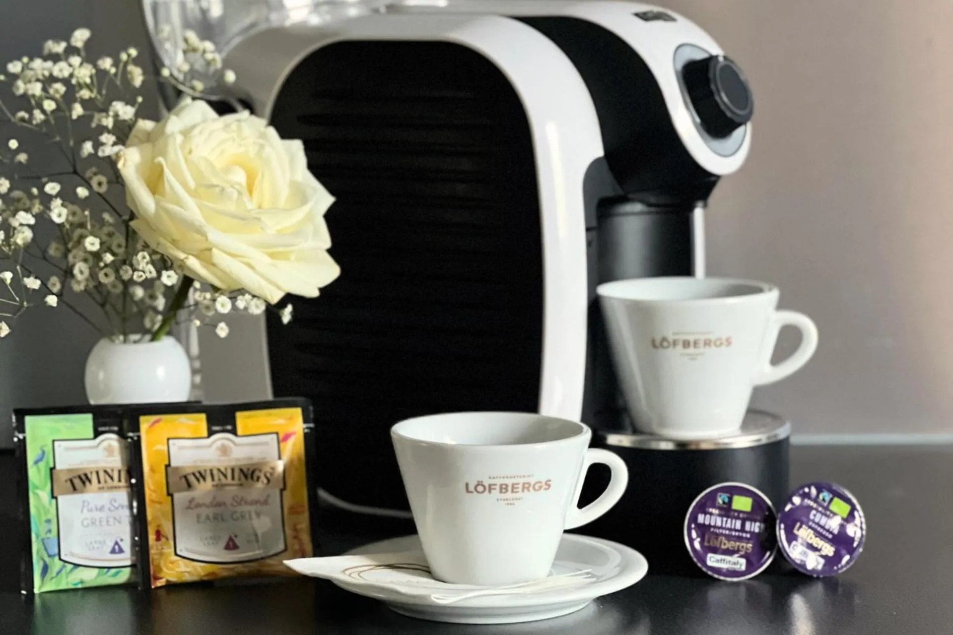 Hotel Golden Circle Suites