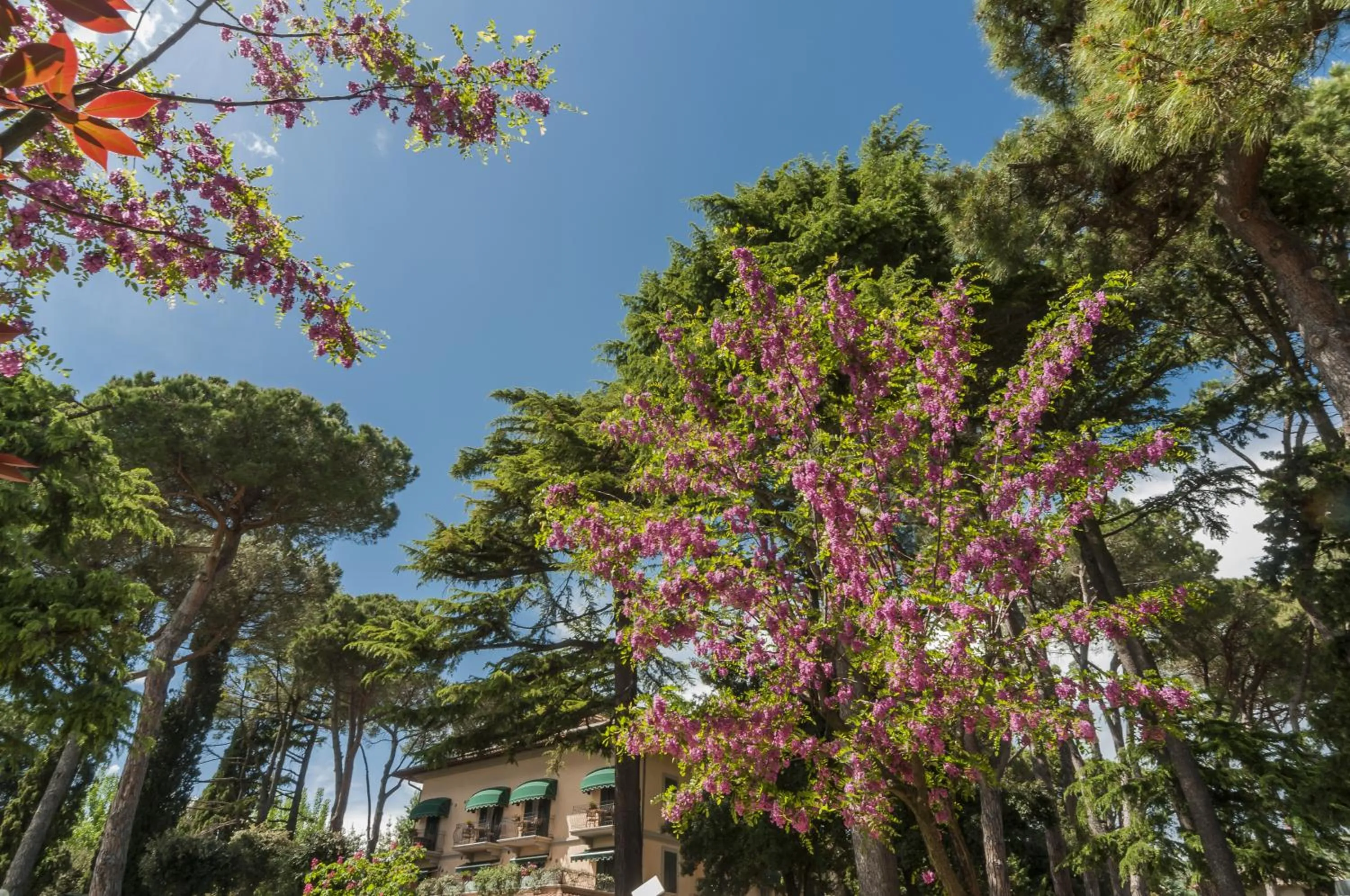 Facade/entrance in Hotel Kursaal