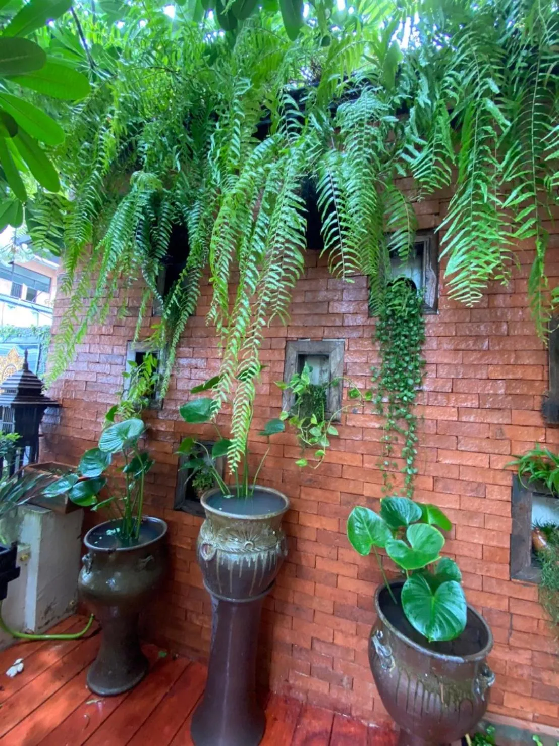 Garden view in Wannamas Chiangmai Boutique House