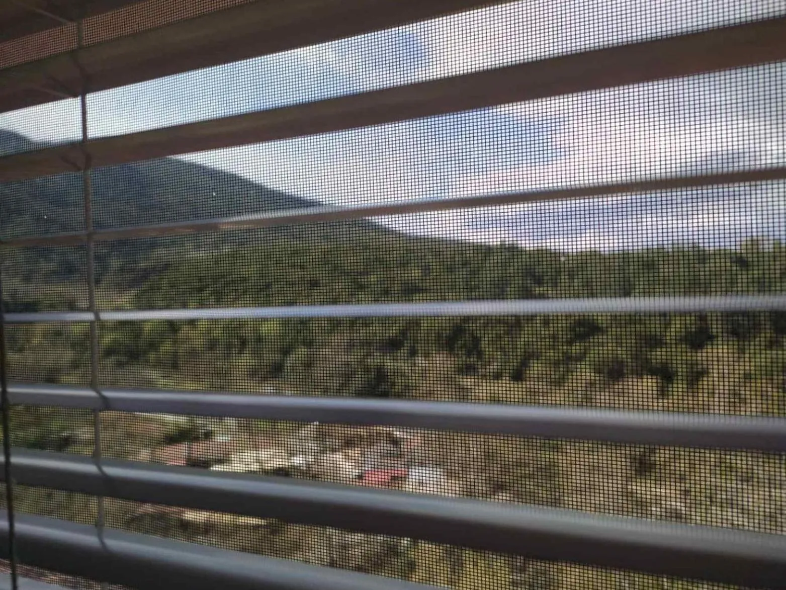 Natural landscape in Olympus View Rooms Sauna & Spa