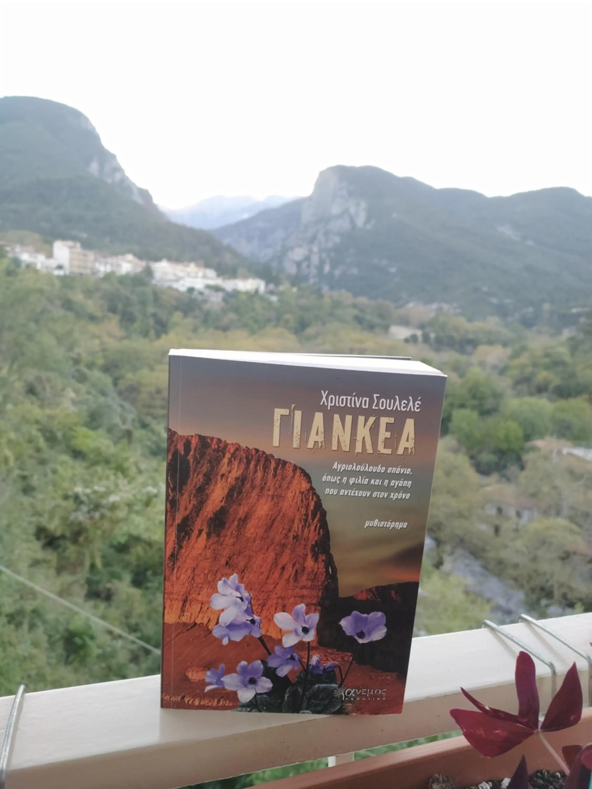 Olympus View Rooms Sauna & Spa