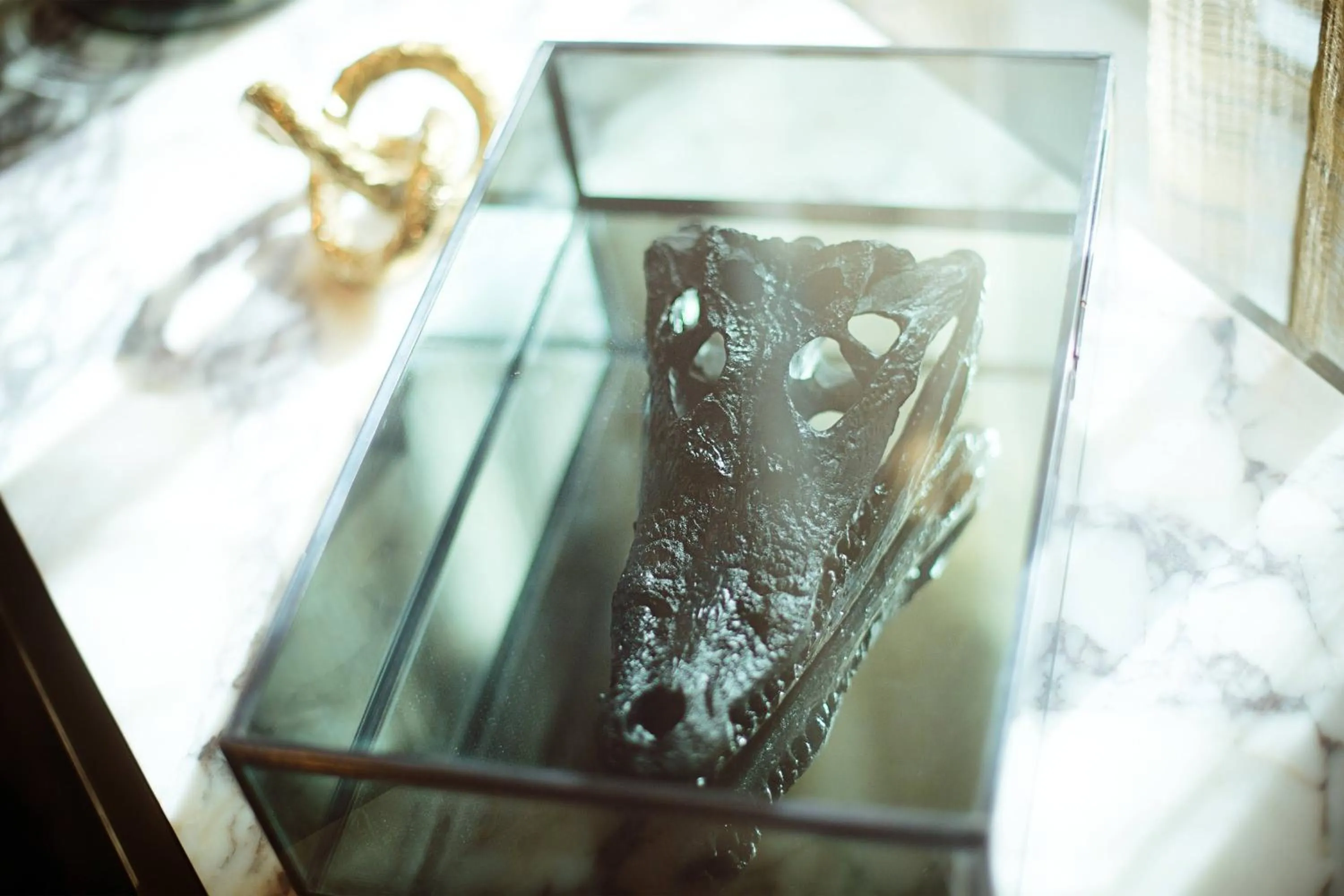 Lobby or reception in AC Hotel by Marriott Gainesville Downtown