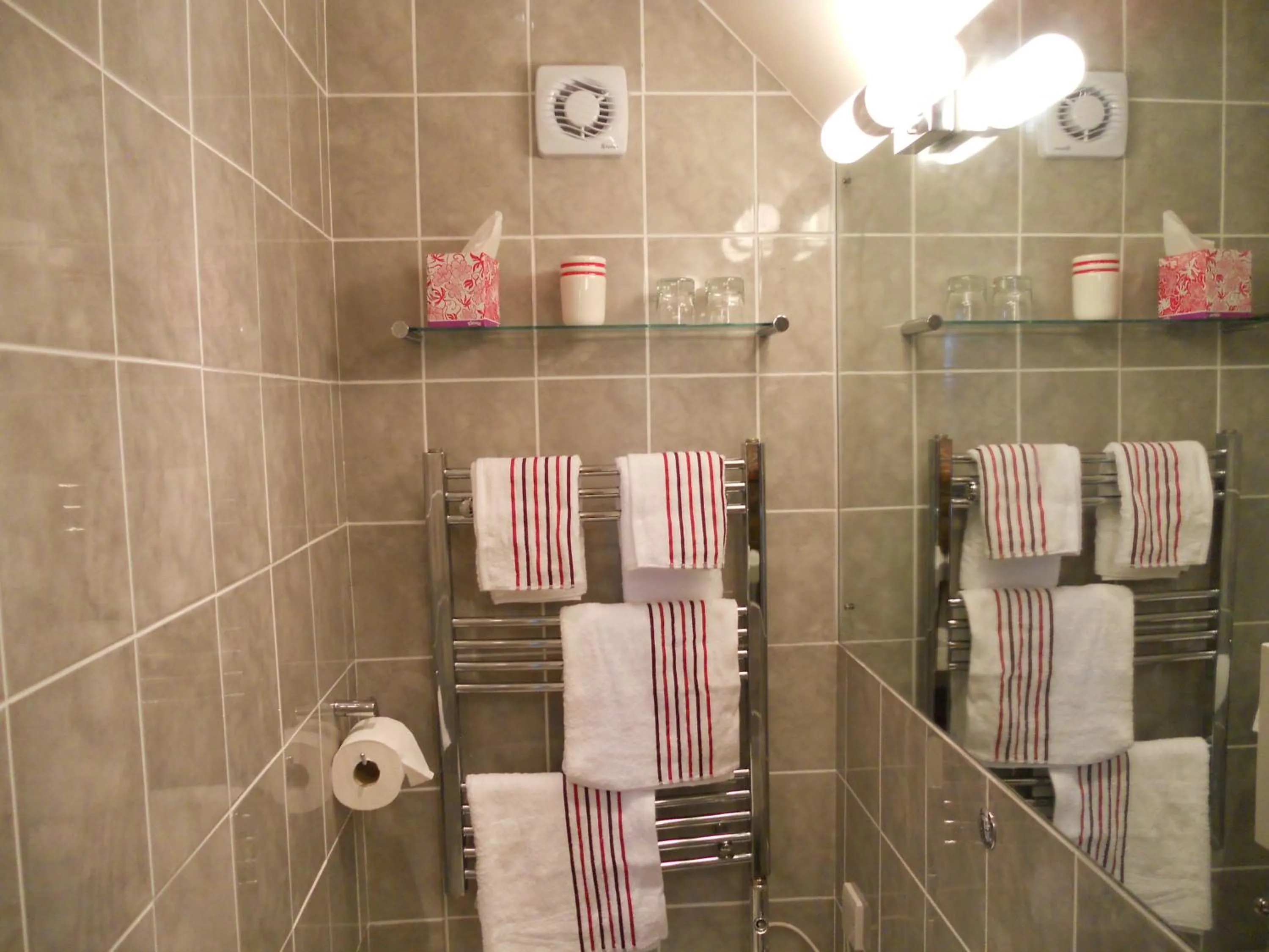 Shower in Mayertorne Cottage