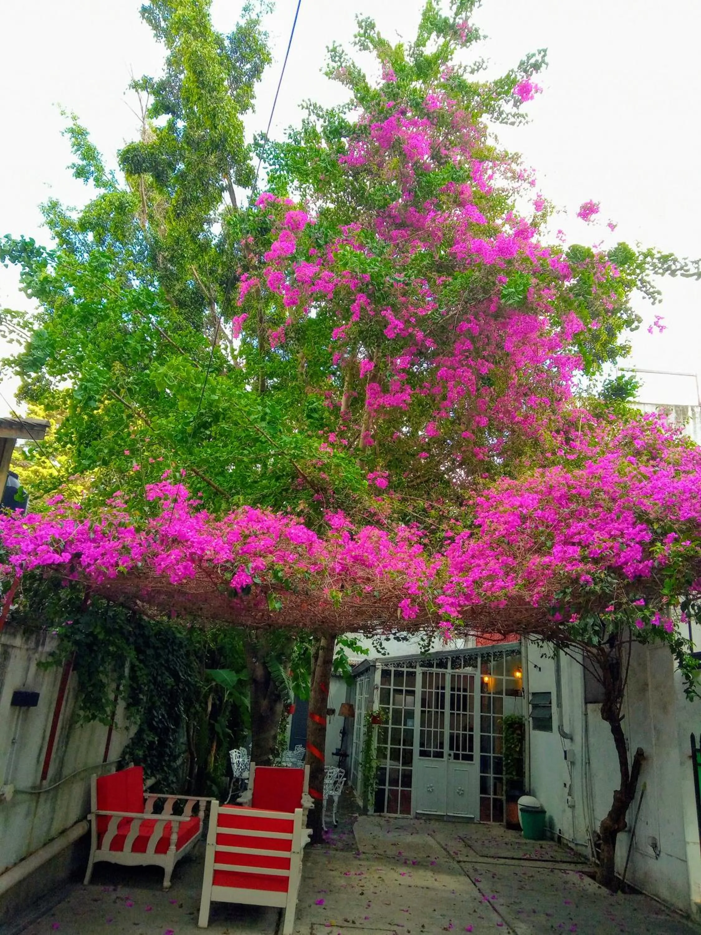 HOTEL Boutique Casablanca Adrogué