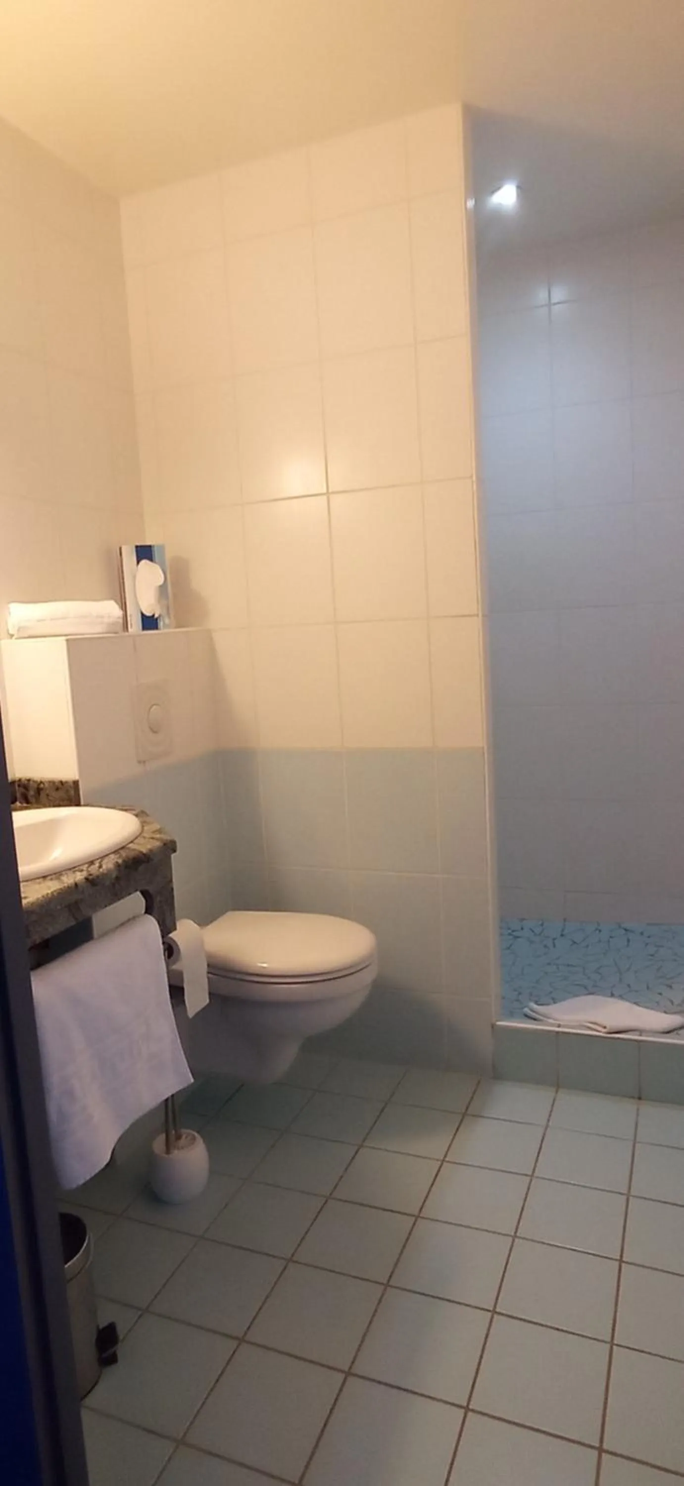 Logis Hotel Restaurant Le Cygne