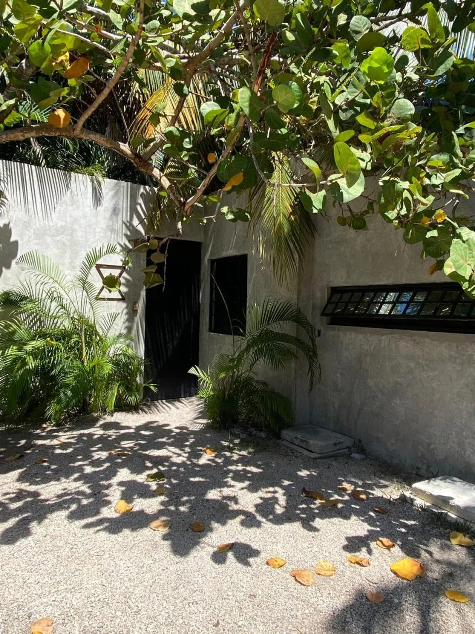 Off site in Amor Rooms