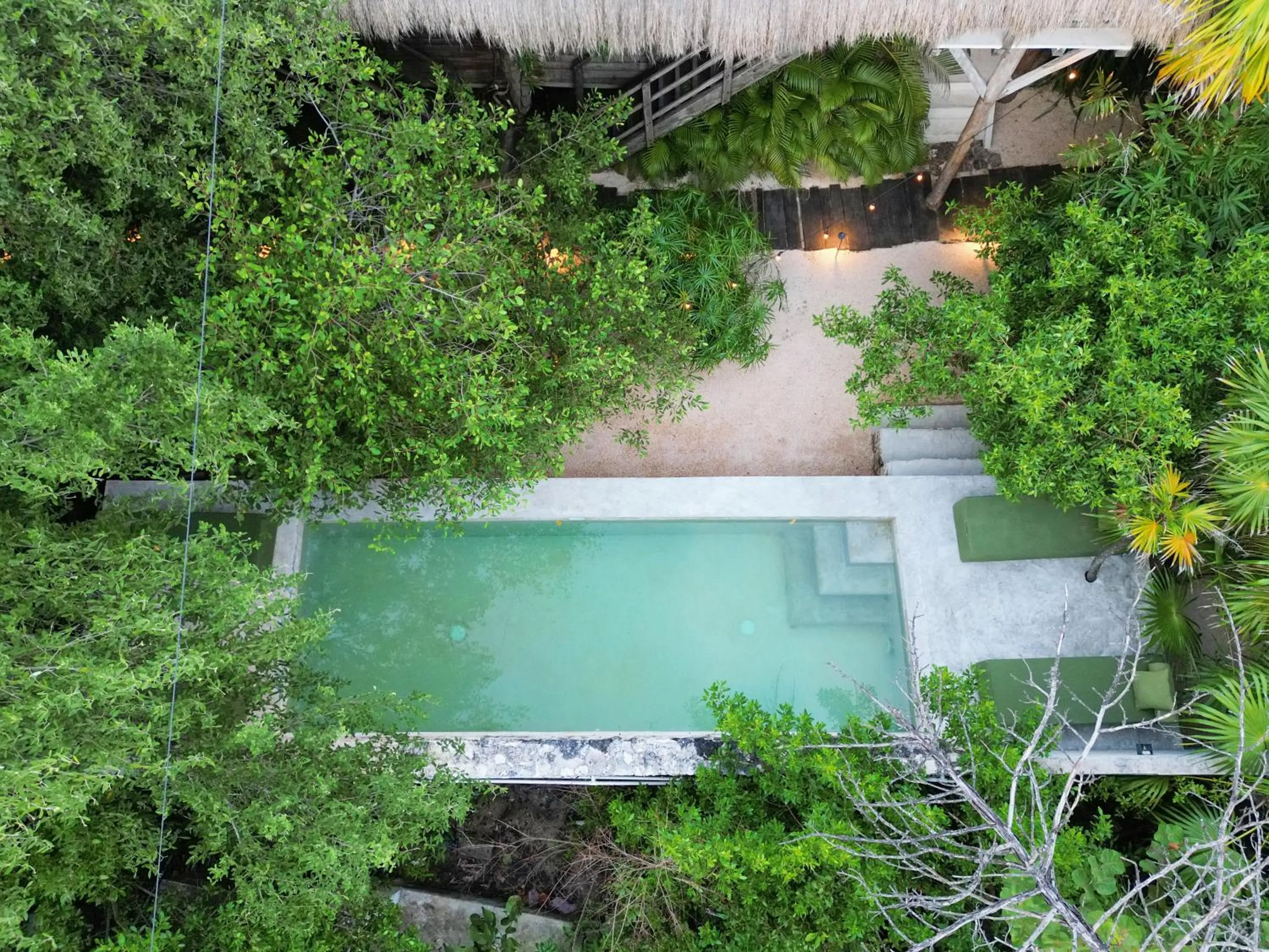 Swimming pool in Amor Rooms