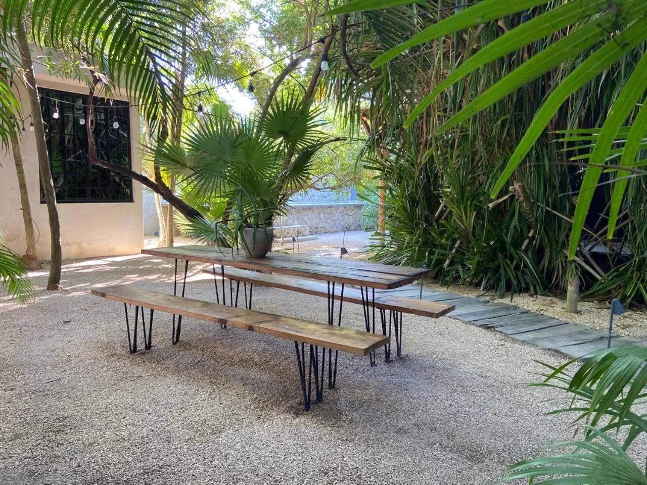 Garden in Amor Rooms