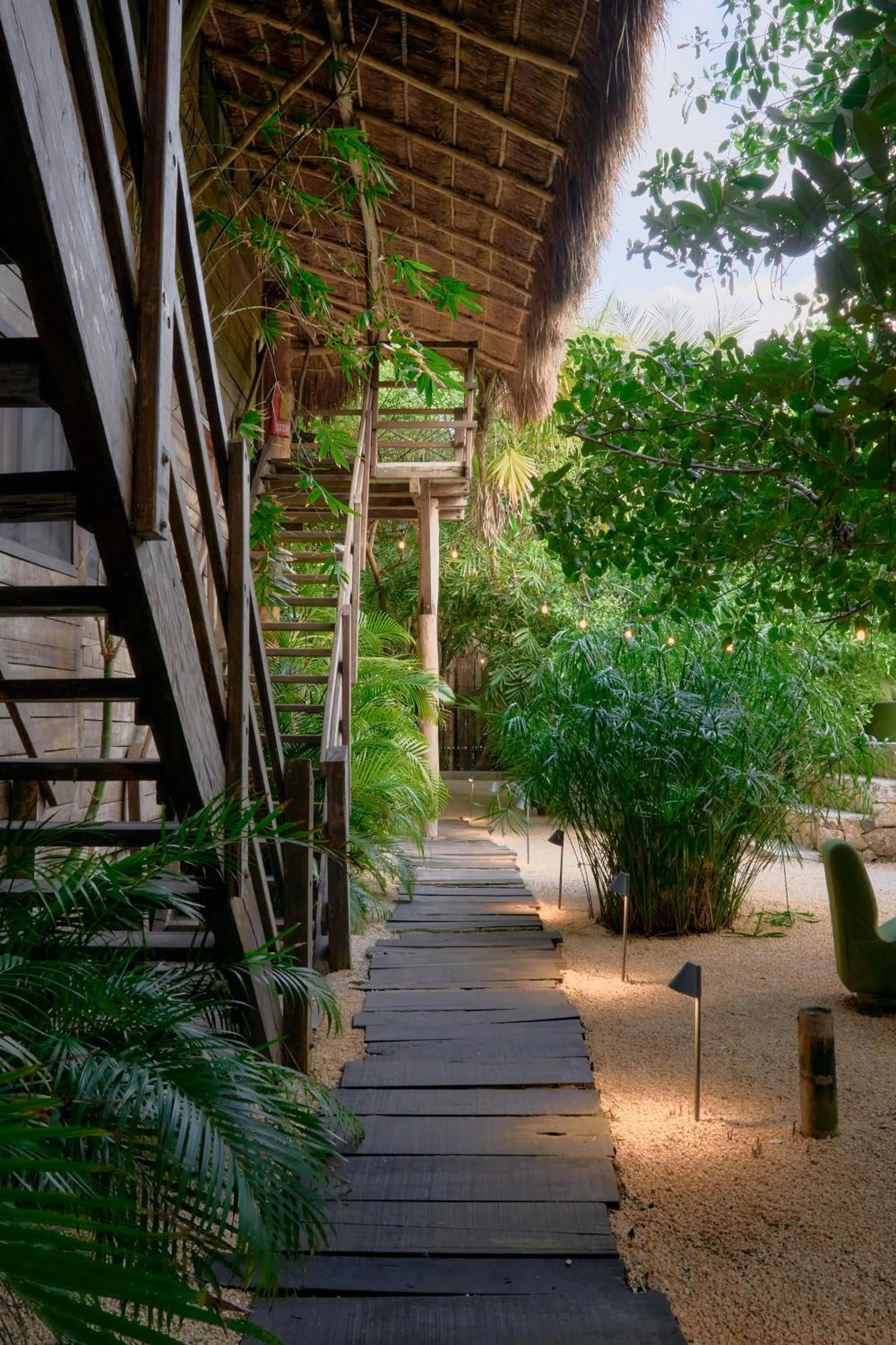 Garden view in Amor Rooms