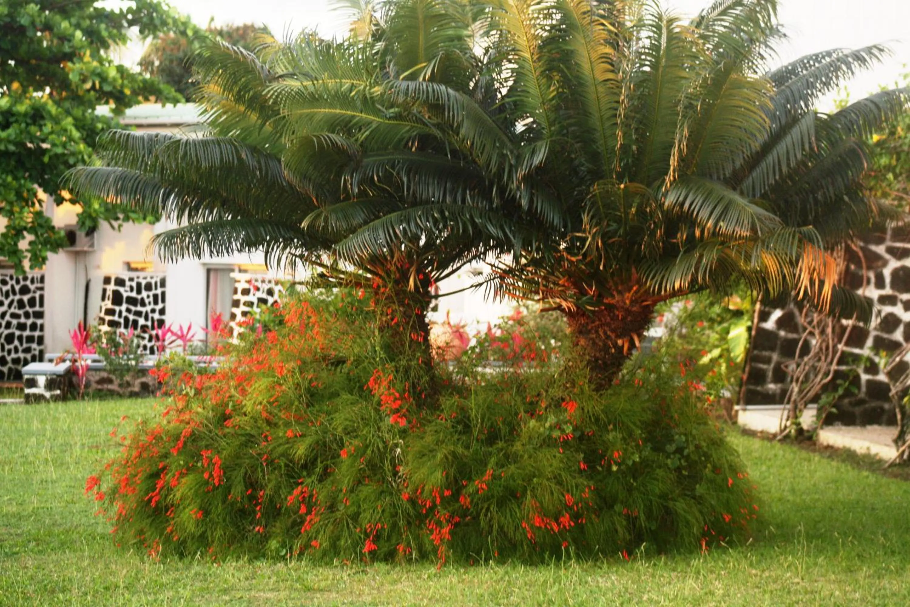 Garden view in Retaj Moroni