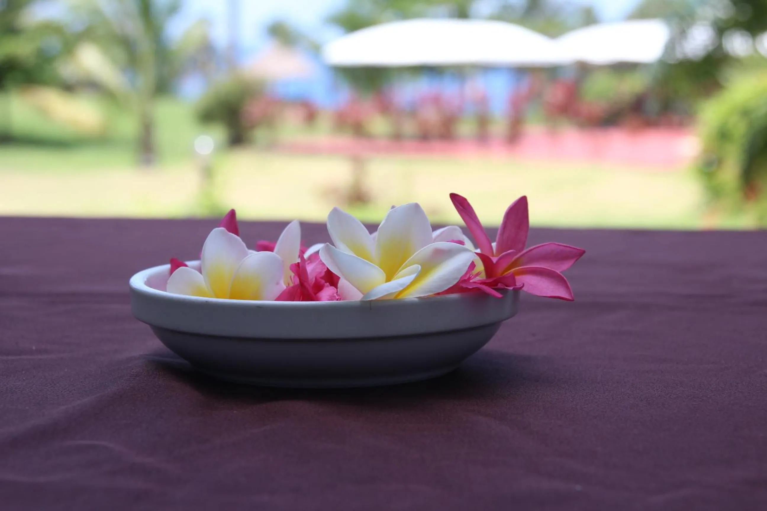 Spa and wellness centre/facilities in Retaj Moroni