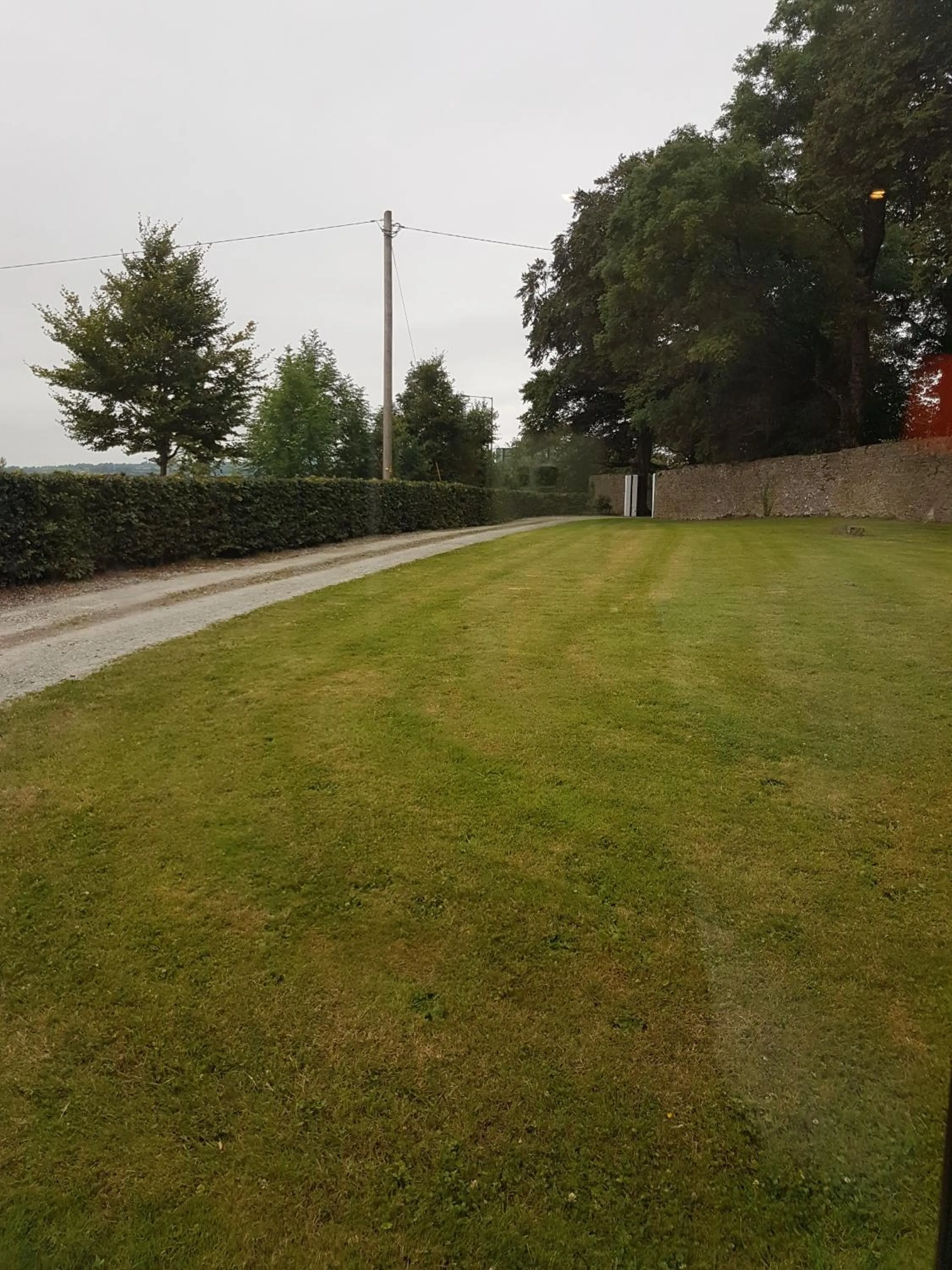 Garden view in Moorepark West House