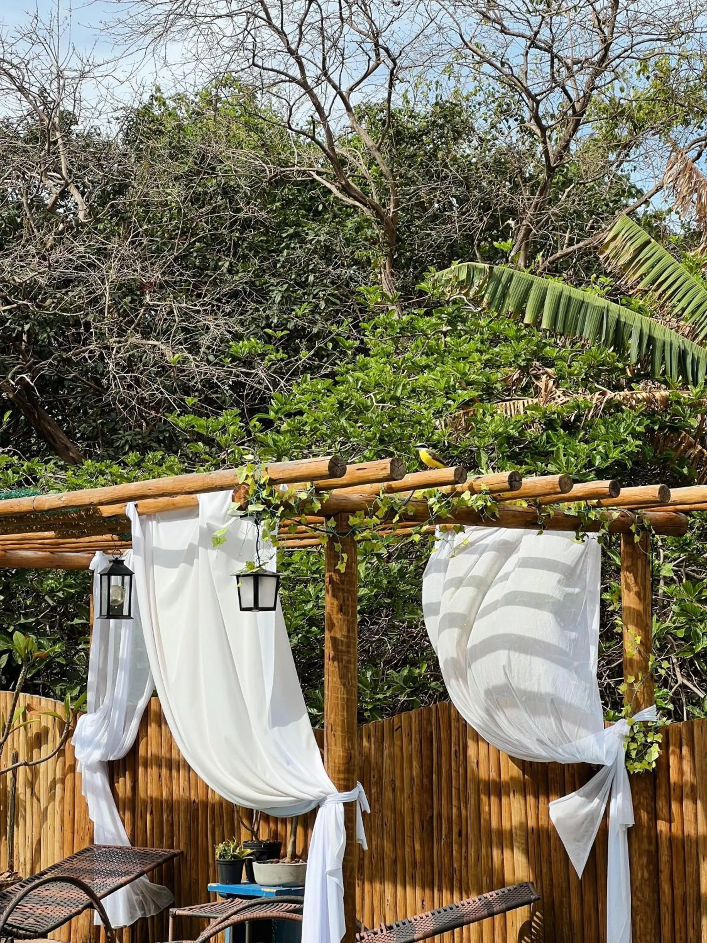 Garden in Pousada Praia do Amor Pipa