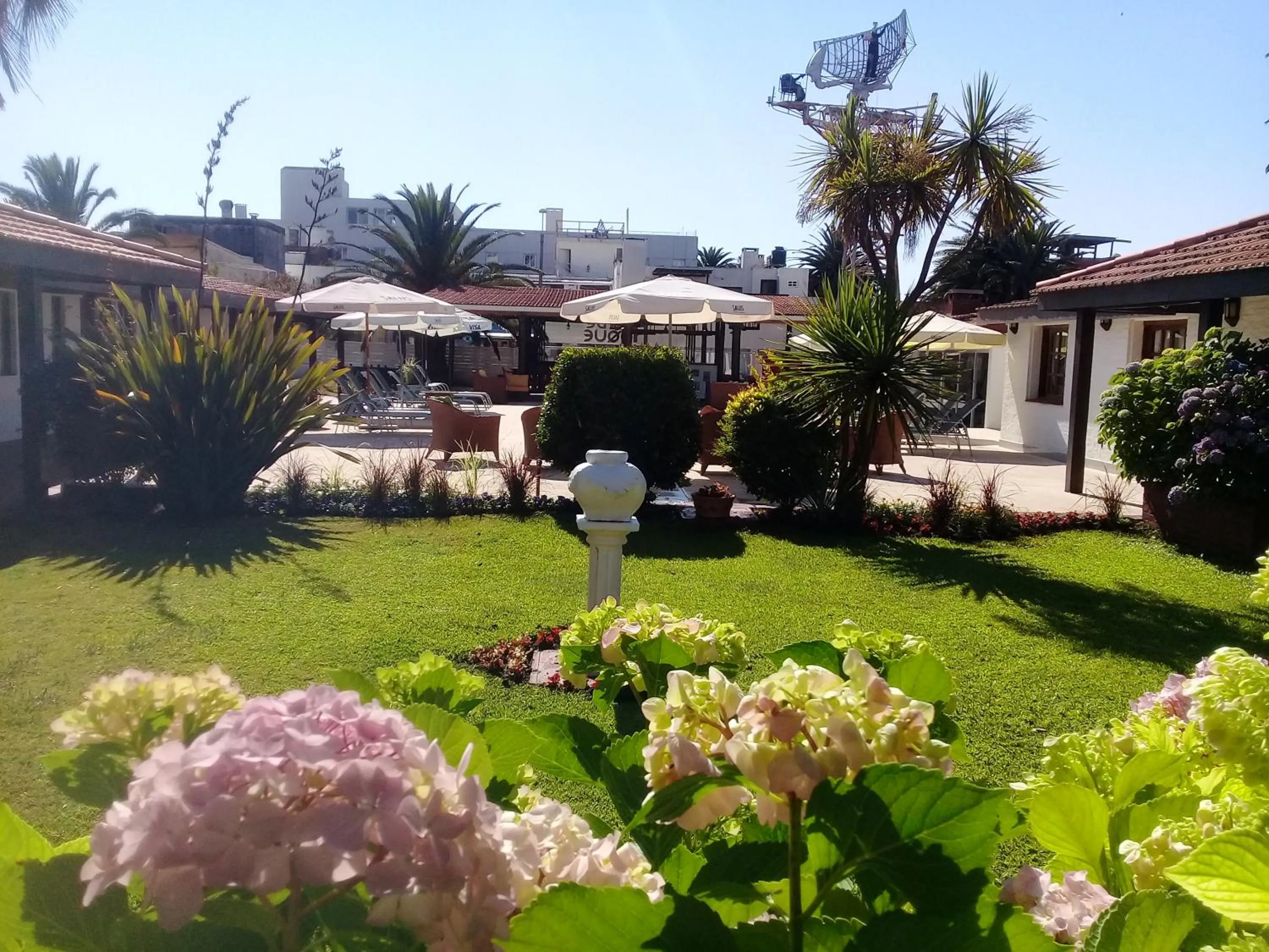 Garden view in Hotel Concorde