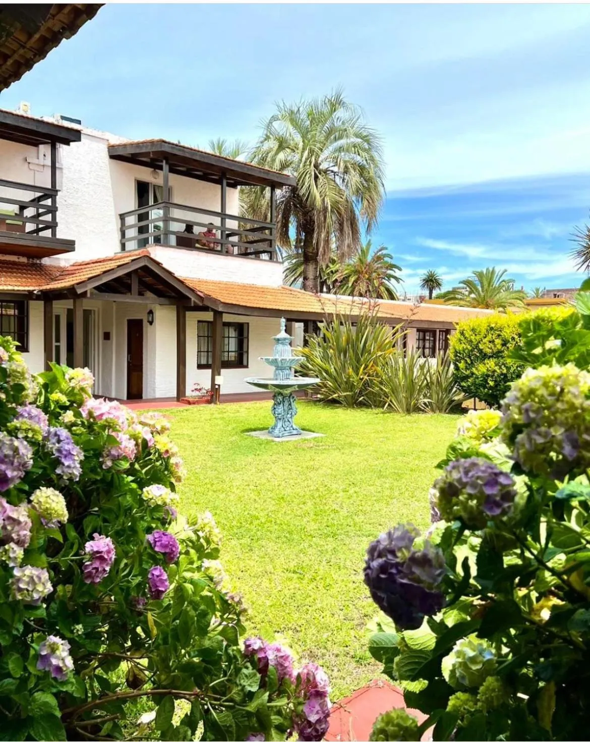 Garden view in Hotel Concorde