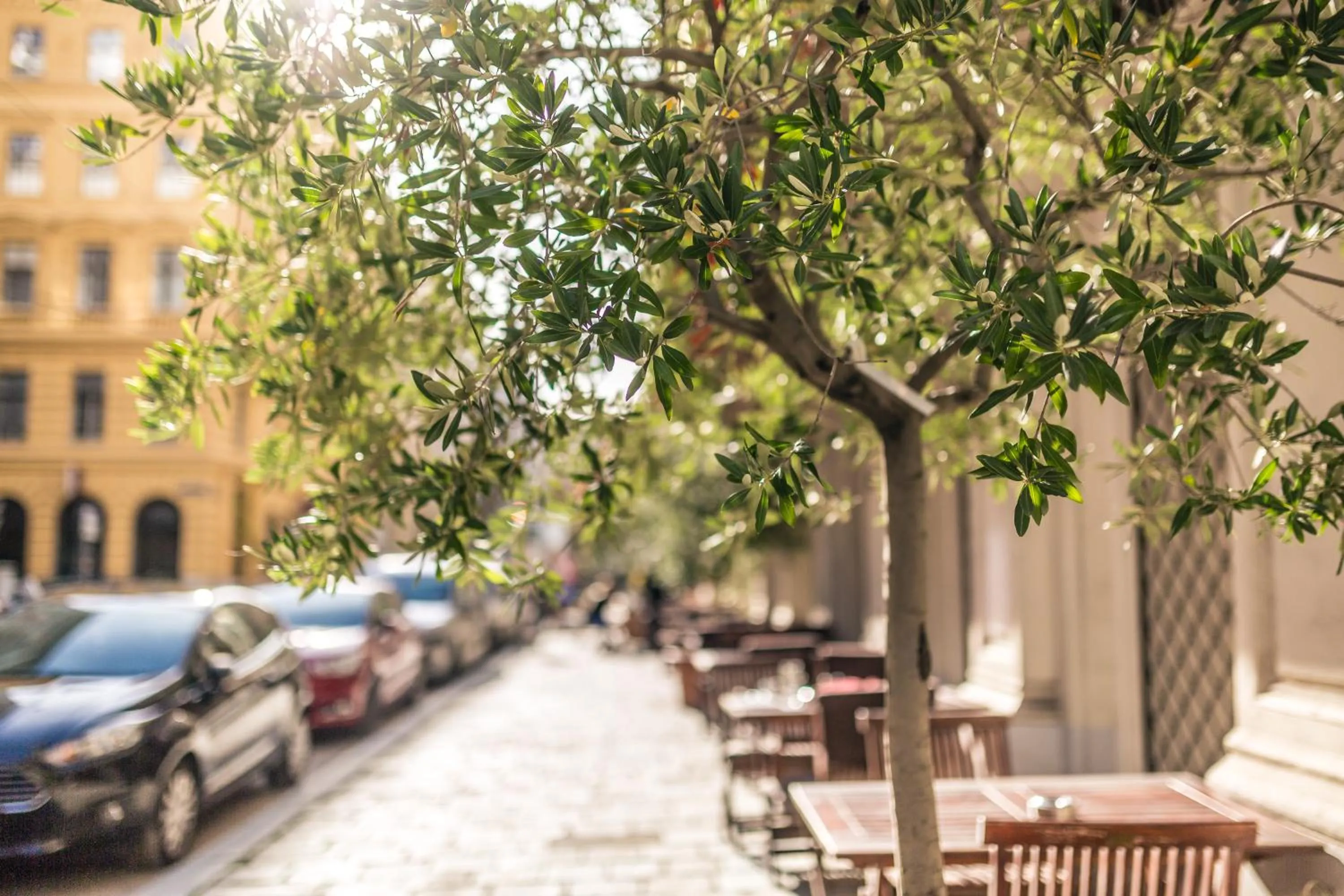 Neighbourhood in The Temple