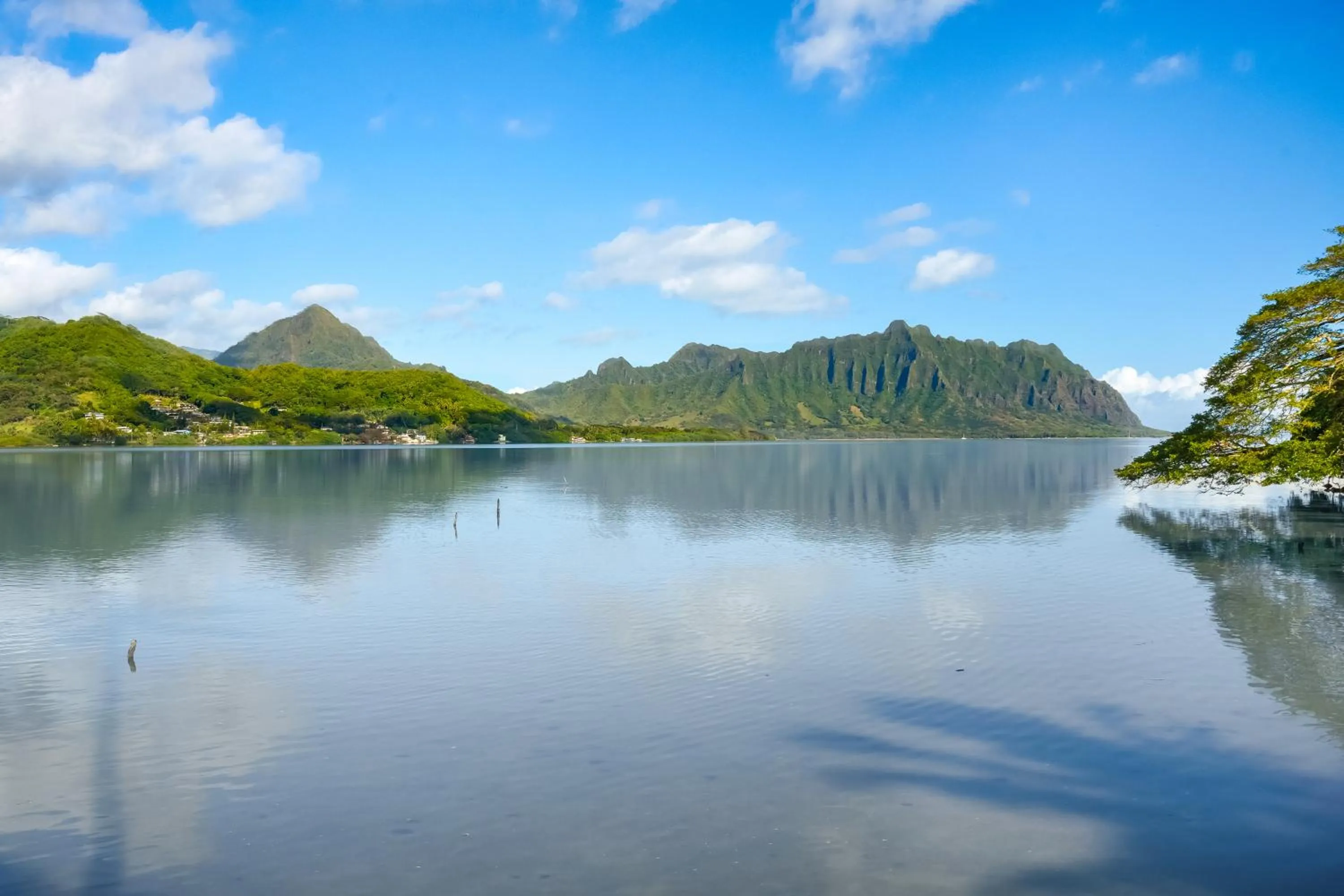 Day in Paradise Bay Resort