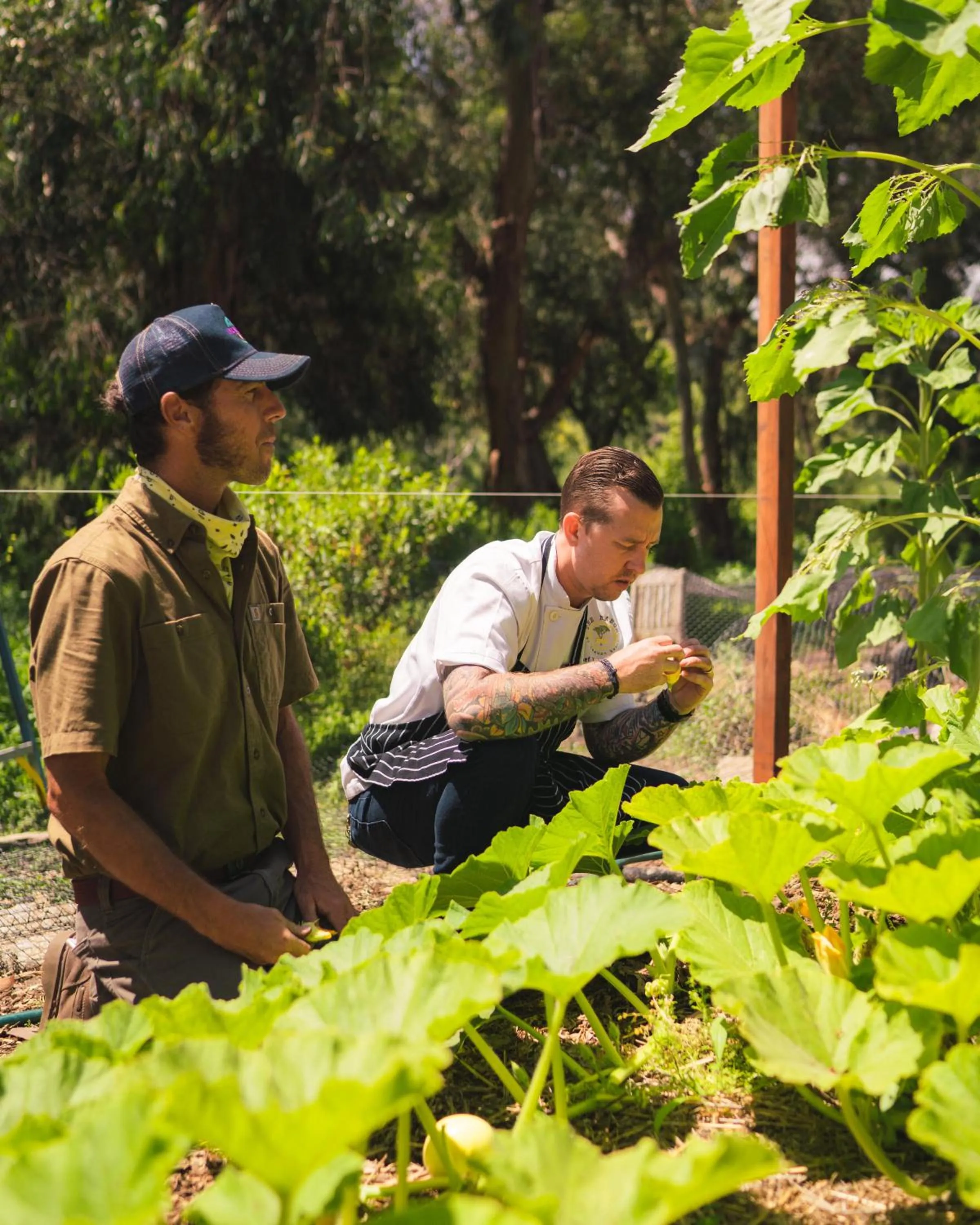 Natural landscape in The Ranch at Laguna Beach
