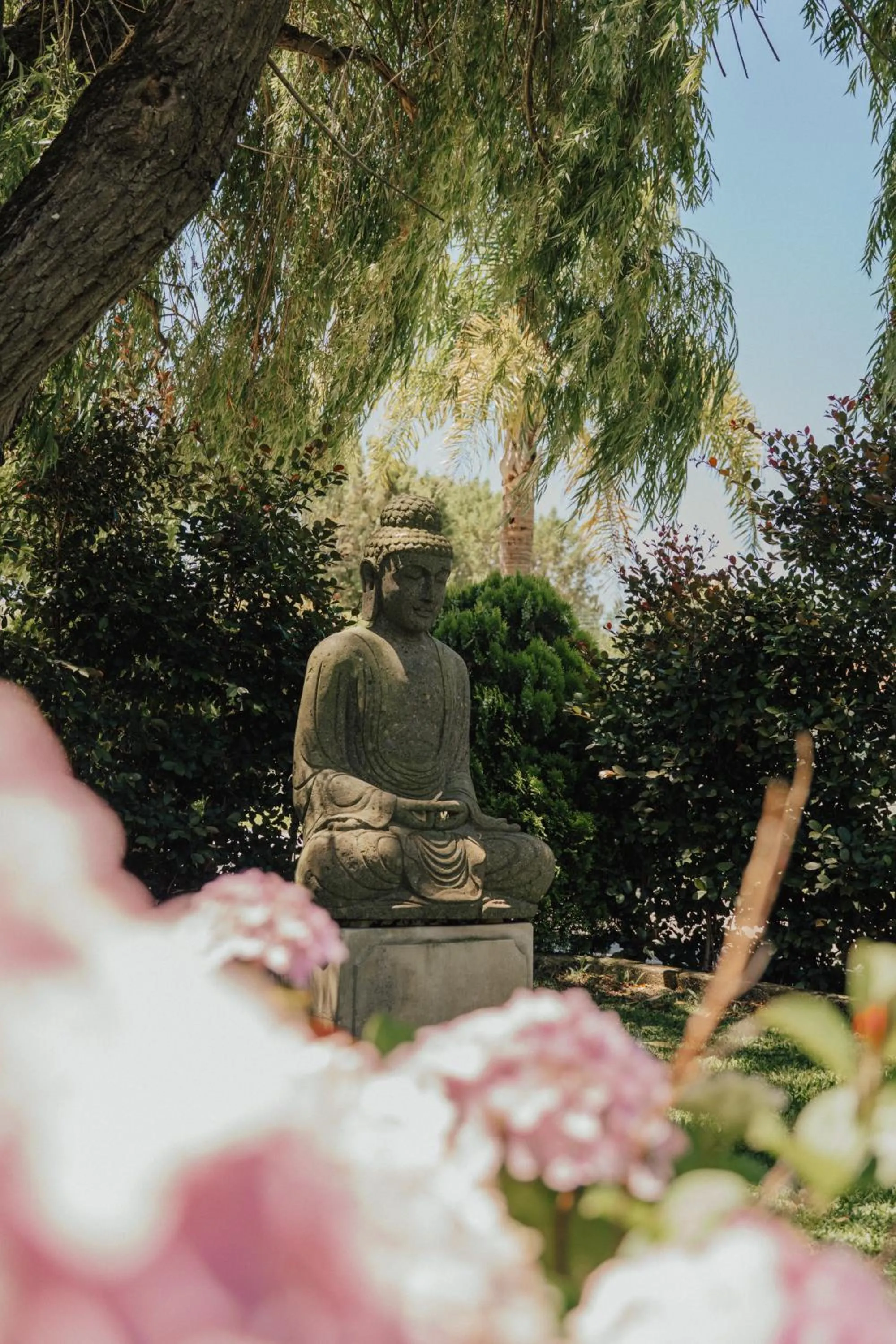 Garden in Quinta do Pinheiro Hotel E Eventos by Grupo Quinta dos Lagos
