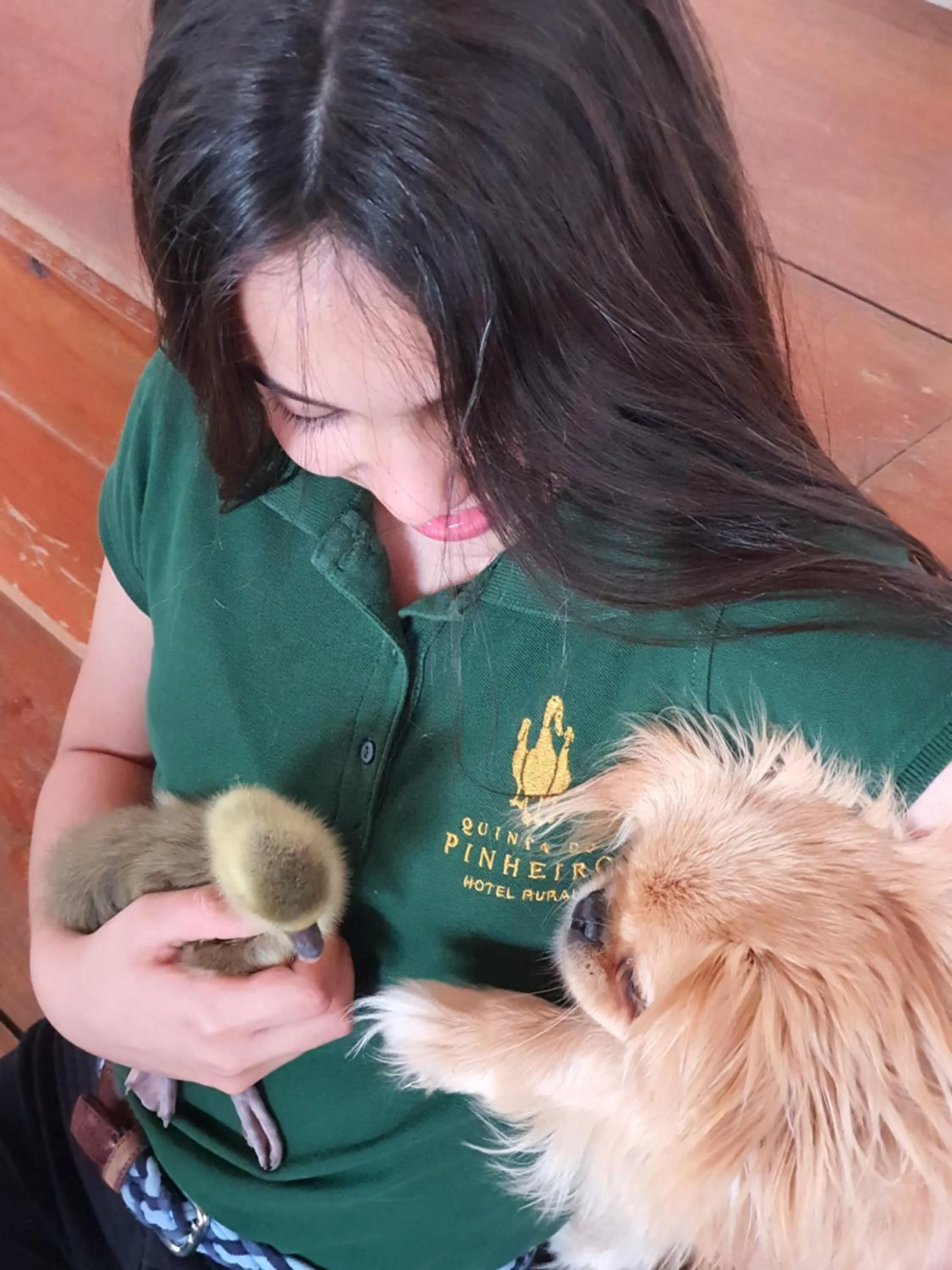 Pets in Quinta do Pinheiro Hotel E Eventos by Grupo Quinta dos Lagos