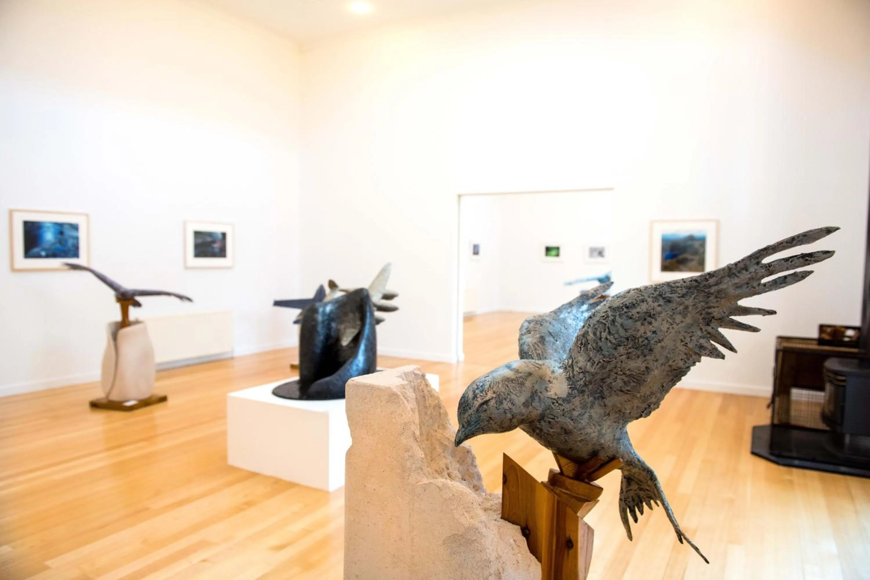 Area and facilities in Cradle Mountain Hotel