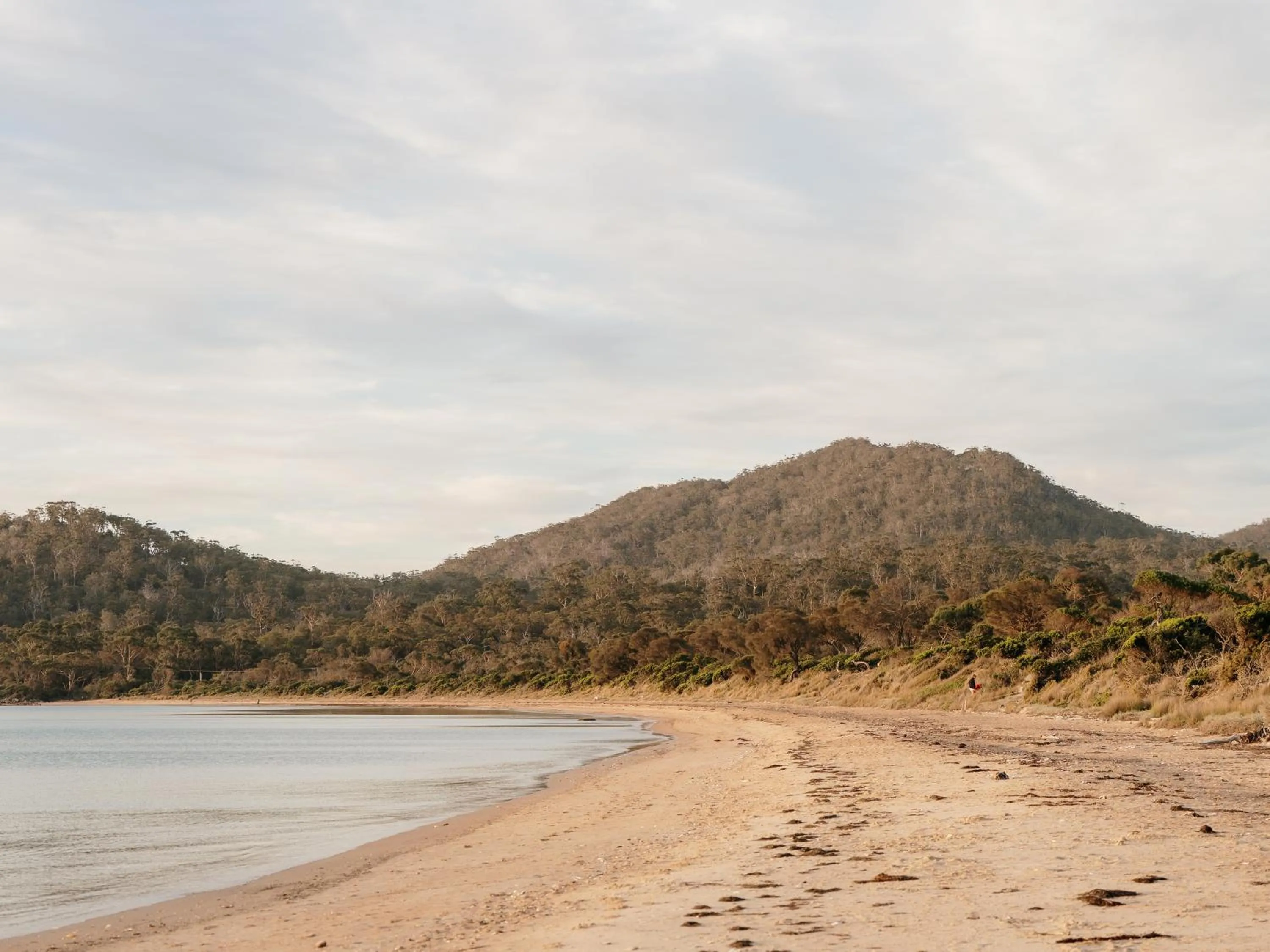 Natural landscape in Freycinet Lodge