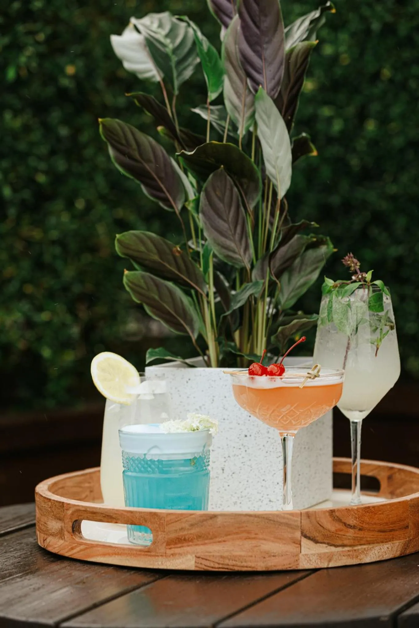 Restaurant/places to eat in Shangri-La The Marina, Cairns