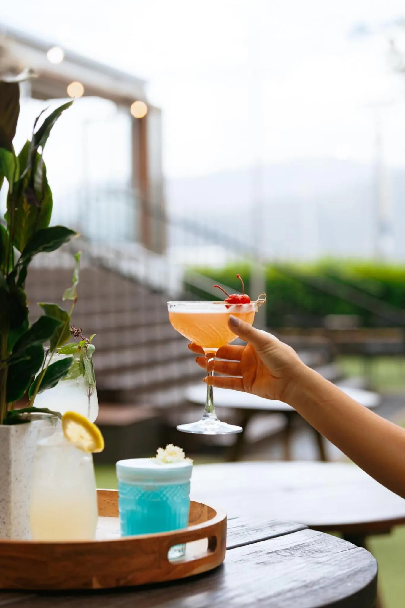 Restaurant/places to eat in Shangri-La The Marina, Cairns