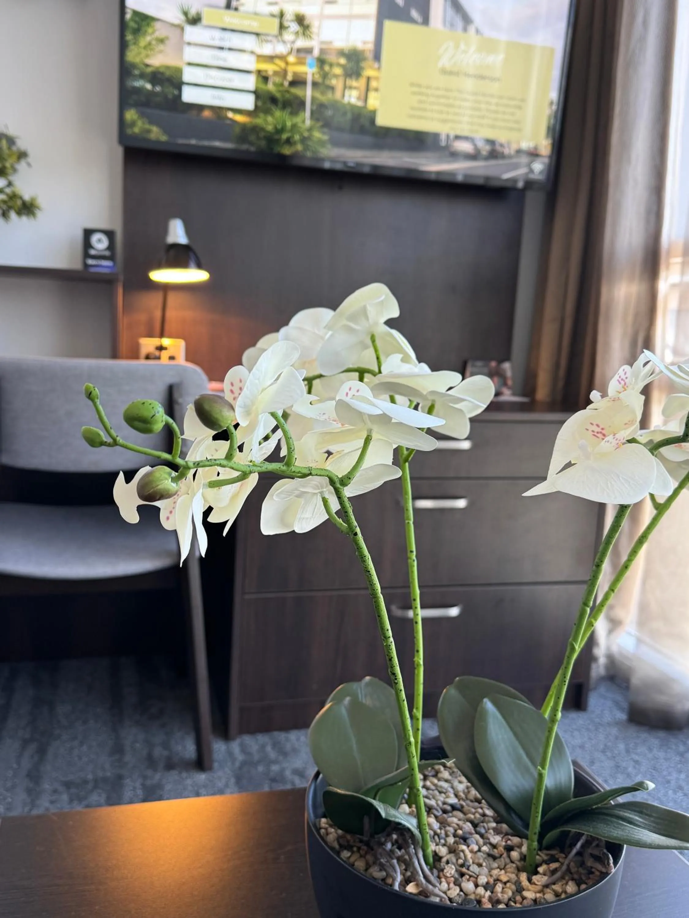 TV and multimedia in Quest Henderson, Auckland Apartment Hotel