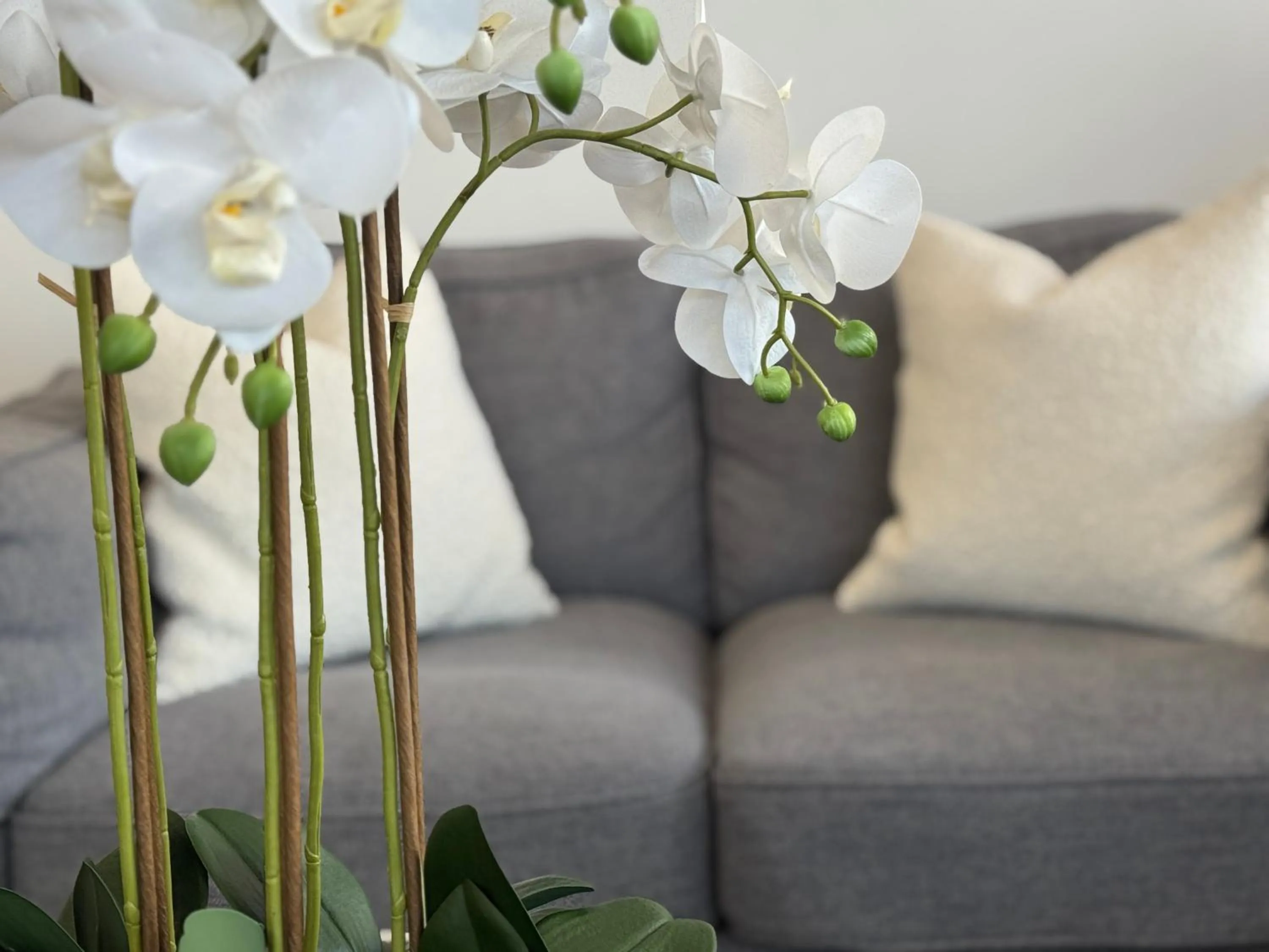 Living room in Quest Henderson, Auckland Apartment Hotel