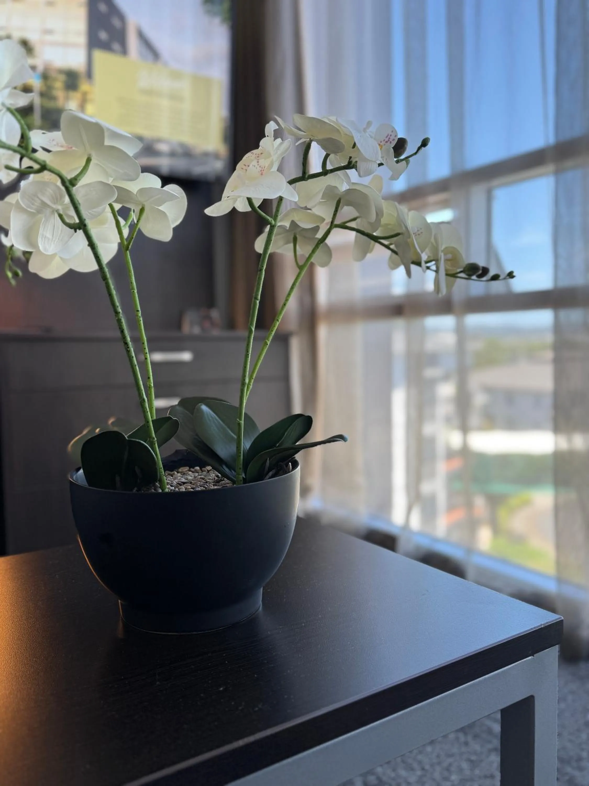Living room in Quest Henderson, Auckland Apartment Hotel