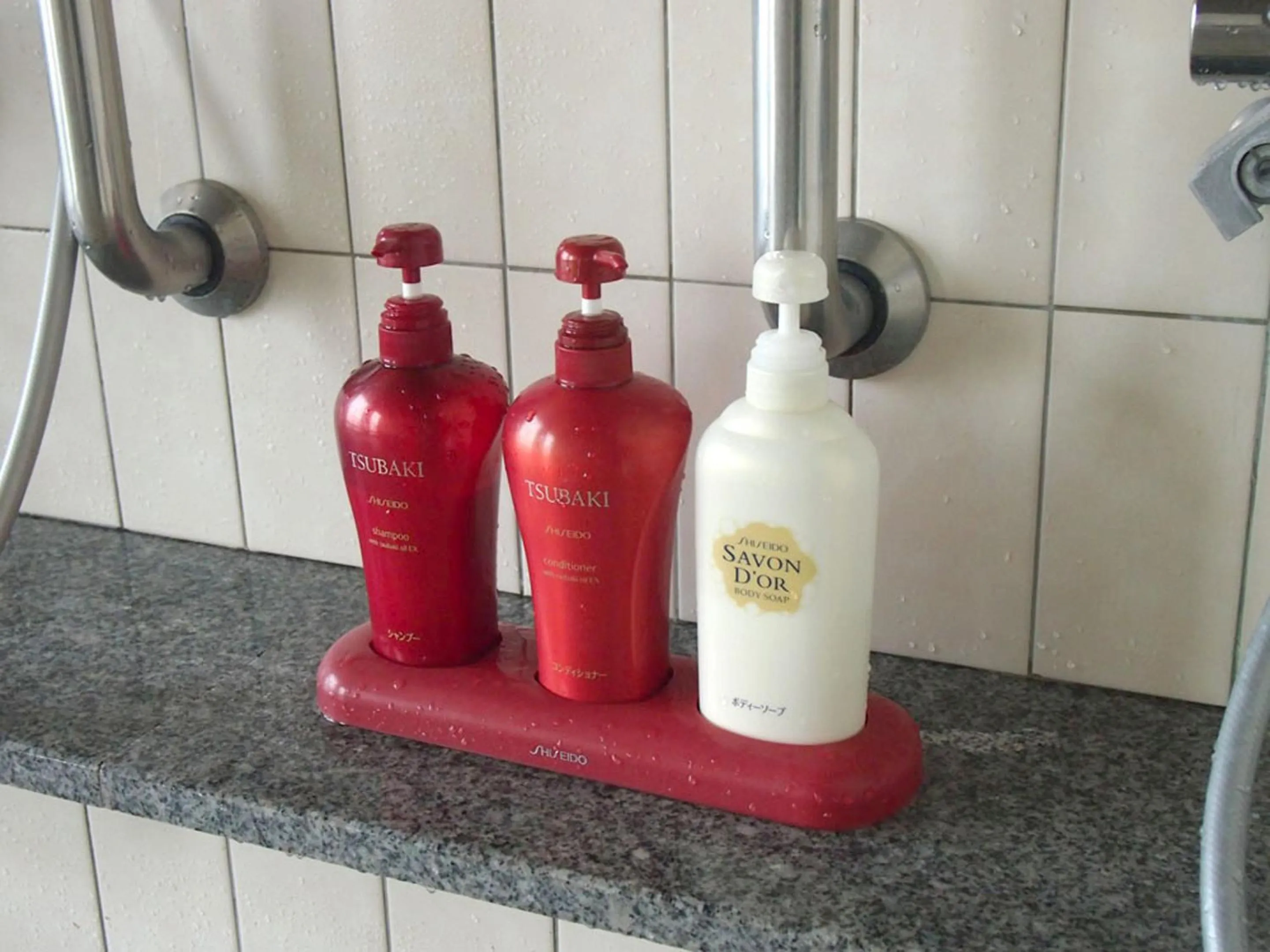 Public Bath in Shikisainoyado Hanatsubaki