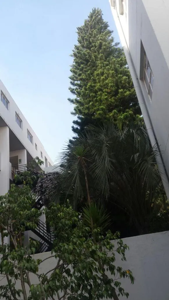 Rosebank Accommodation