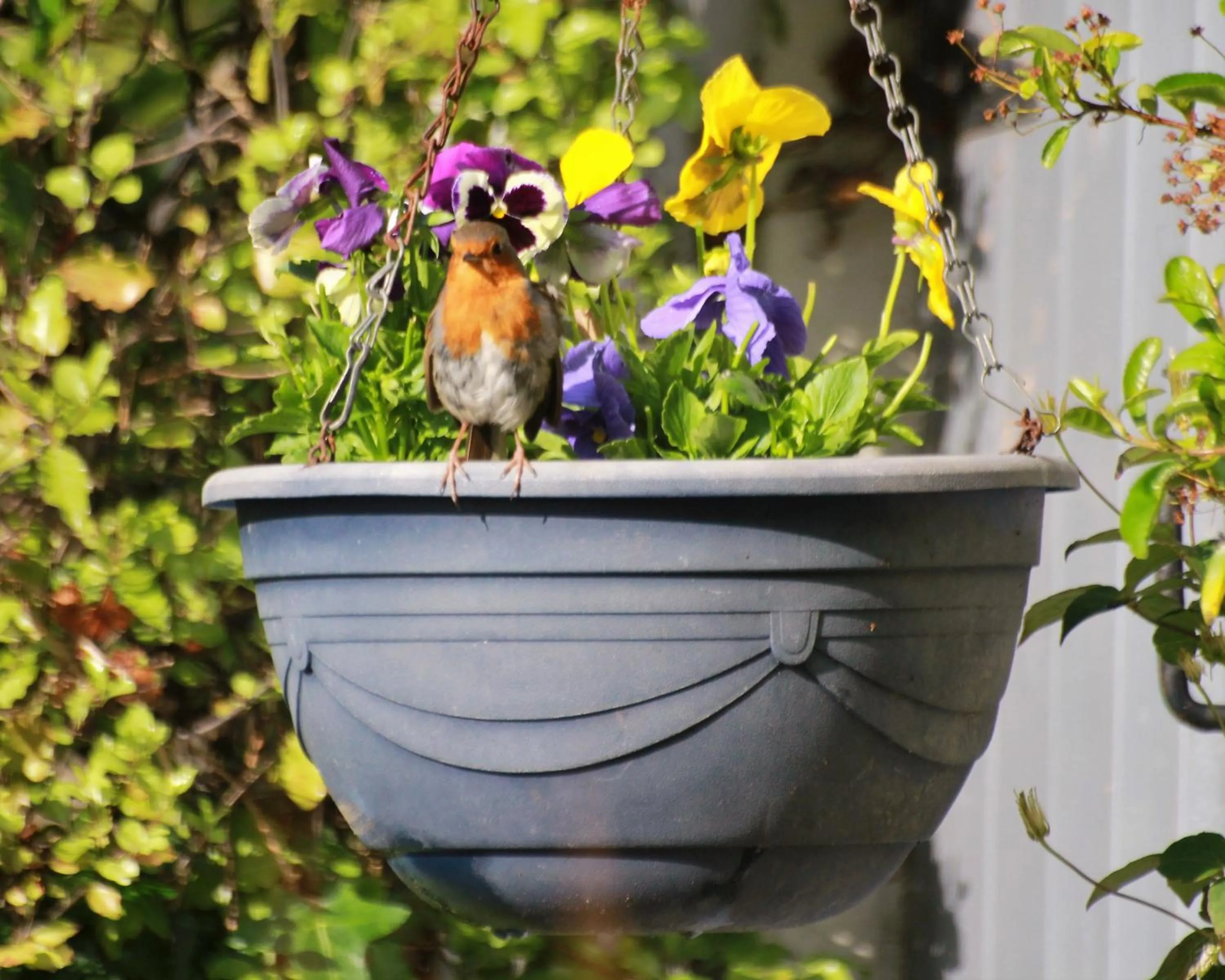 Grey Gables Farmhouse B&B