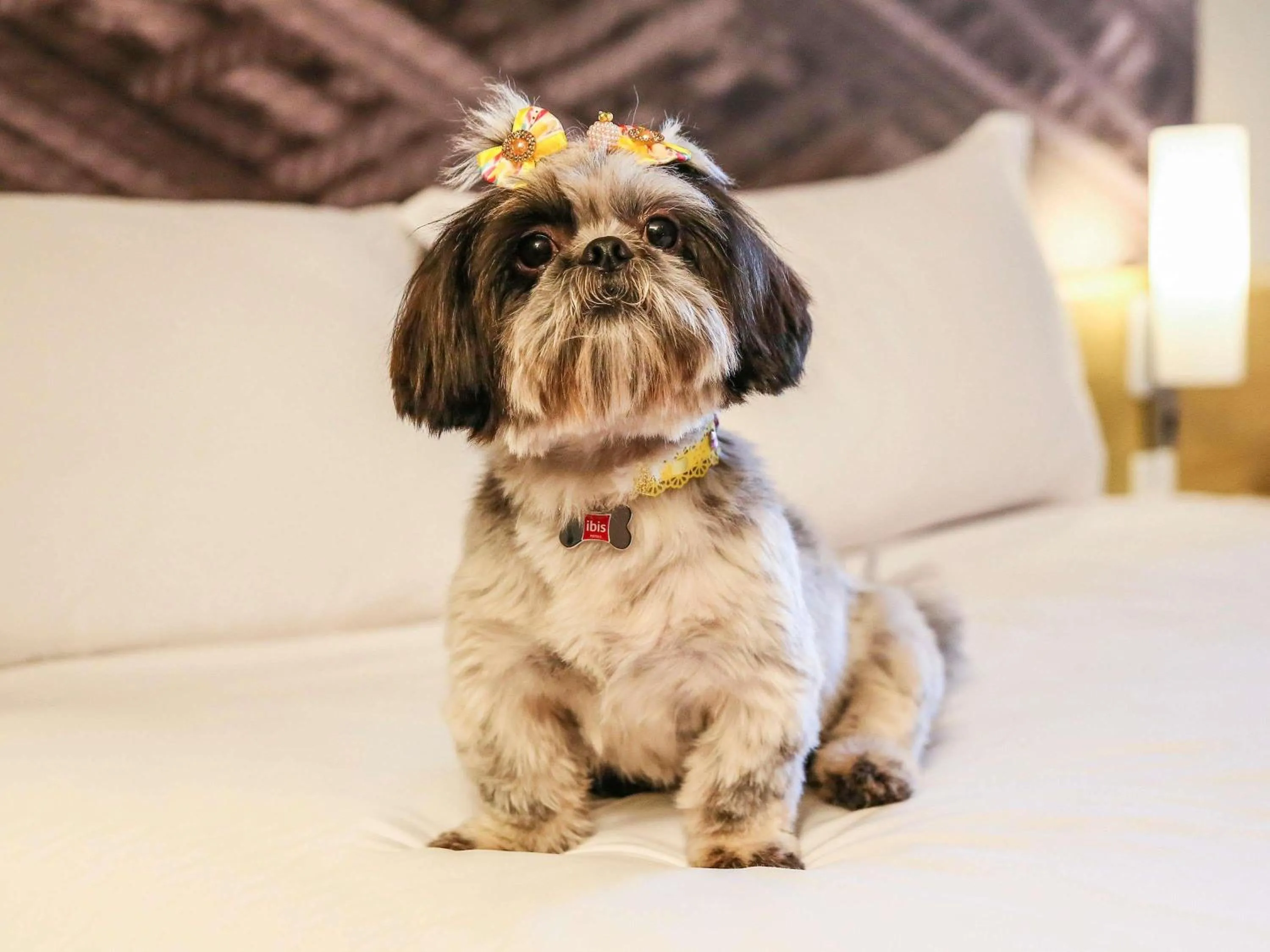 Bedroom in Ibis Irun