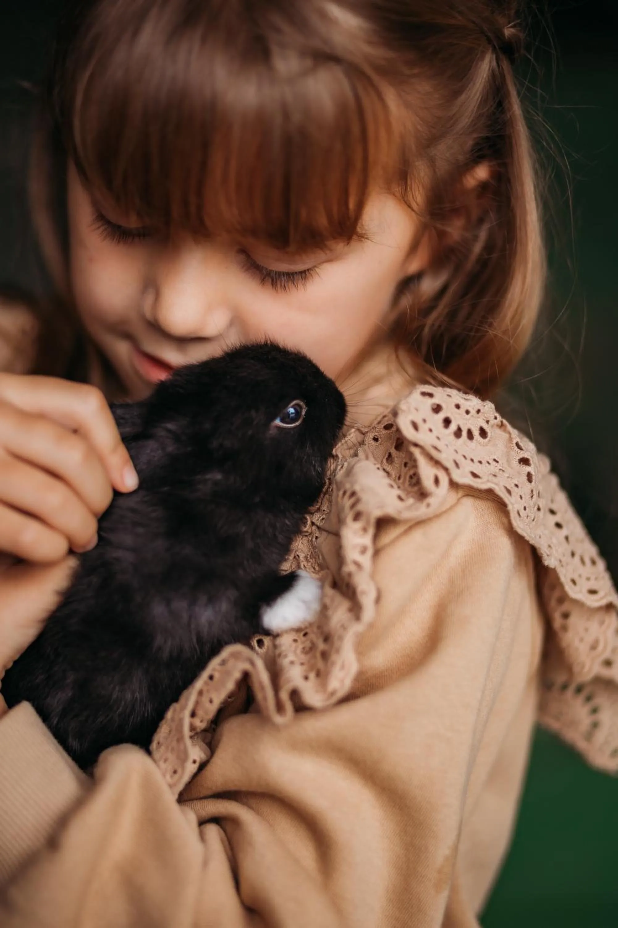 Animals in Hotel Vila Inglesa