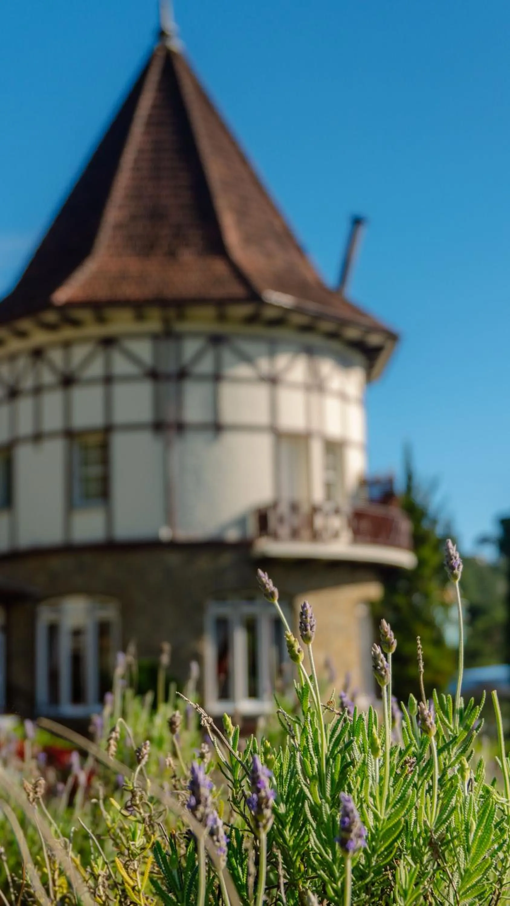 Property building in Hotel Vila Inglesa