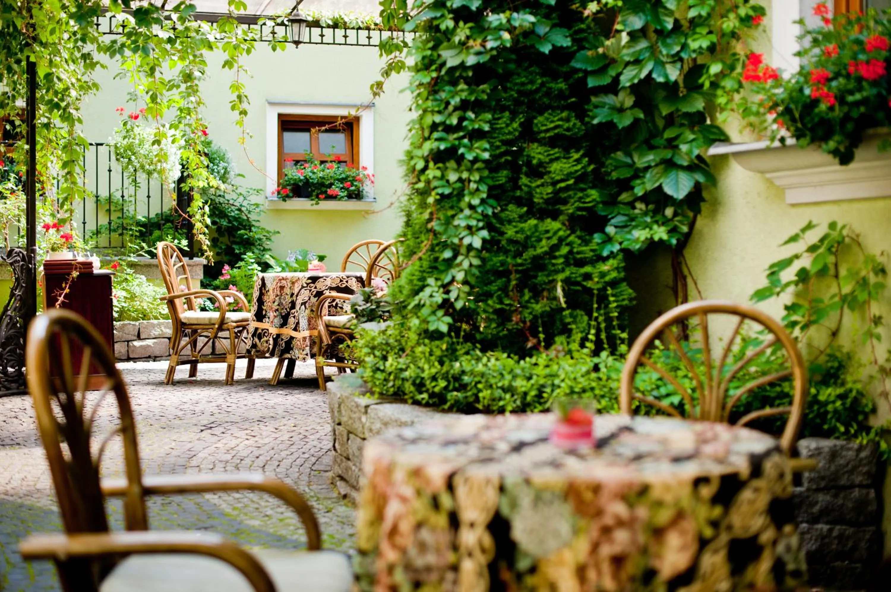 Patio in Hotel Pod Złotą Różą