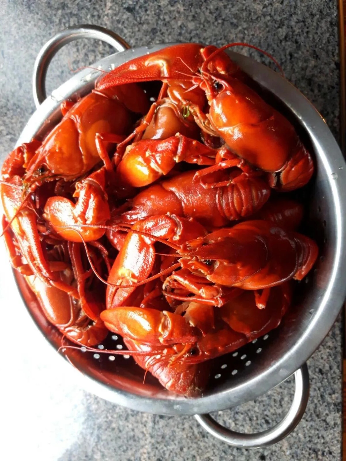 Activities in Kujanpää | Paajoen Vuokramökit