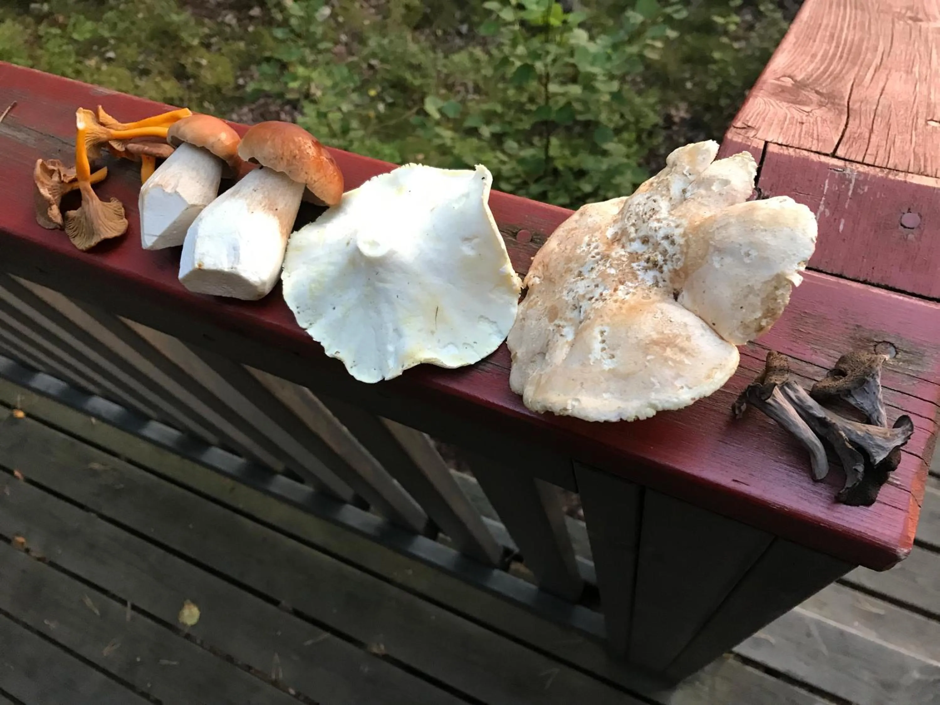 Activities in Kujanpää | Paajoen Vuokramökit