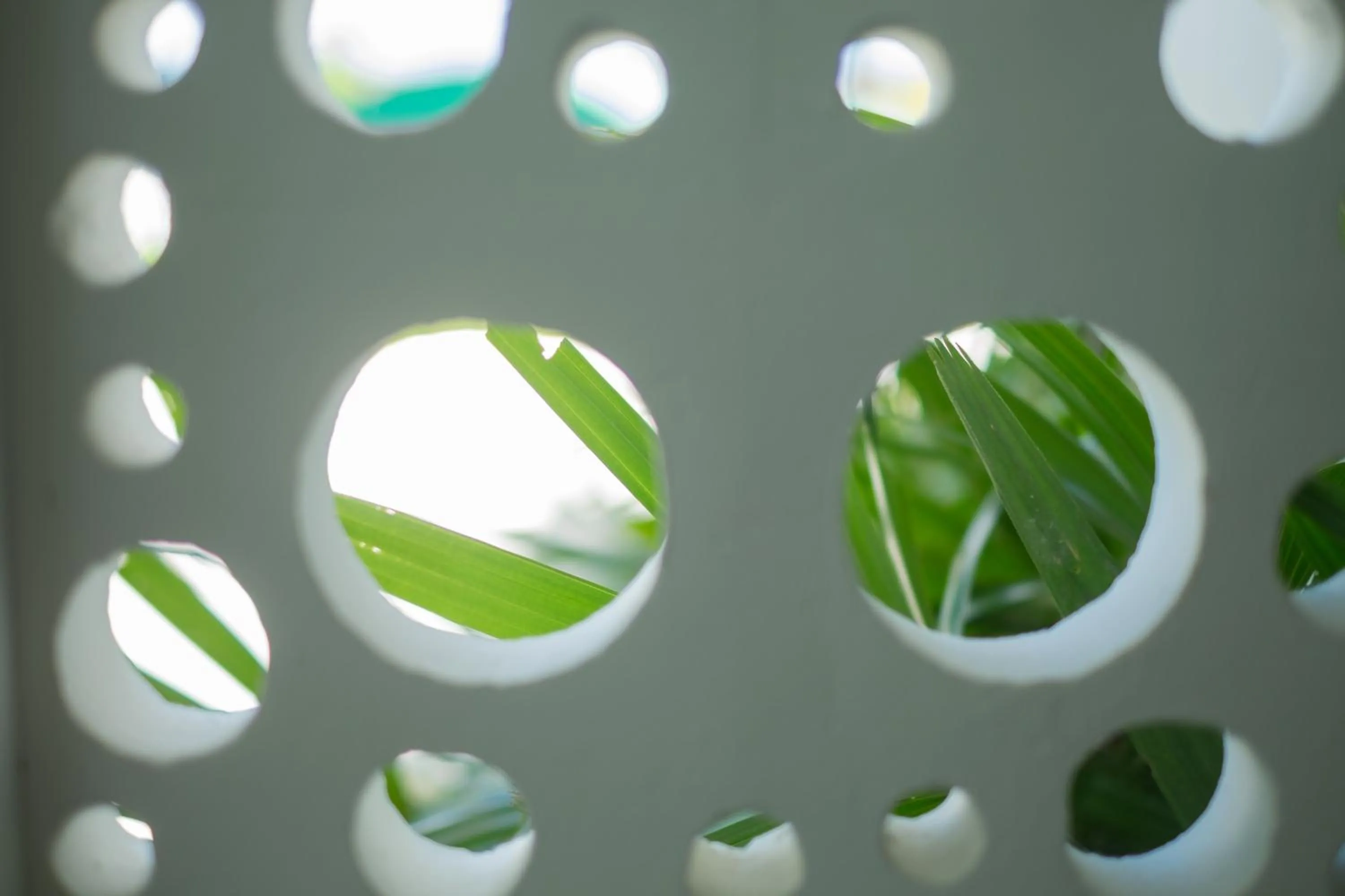 Property building in Phant at Thalang Service Apartment