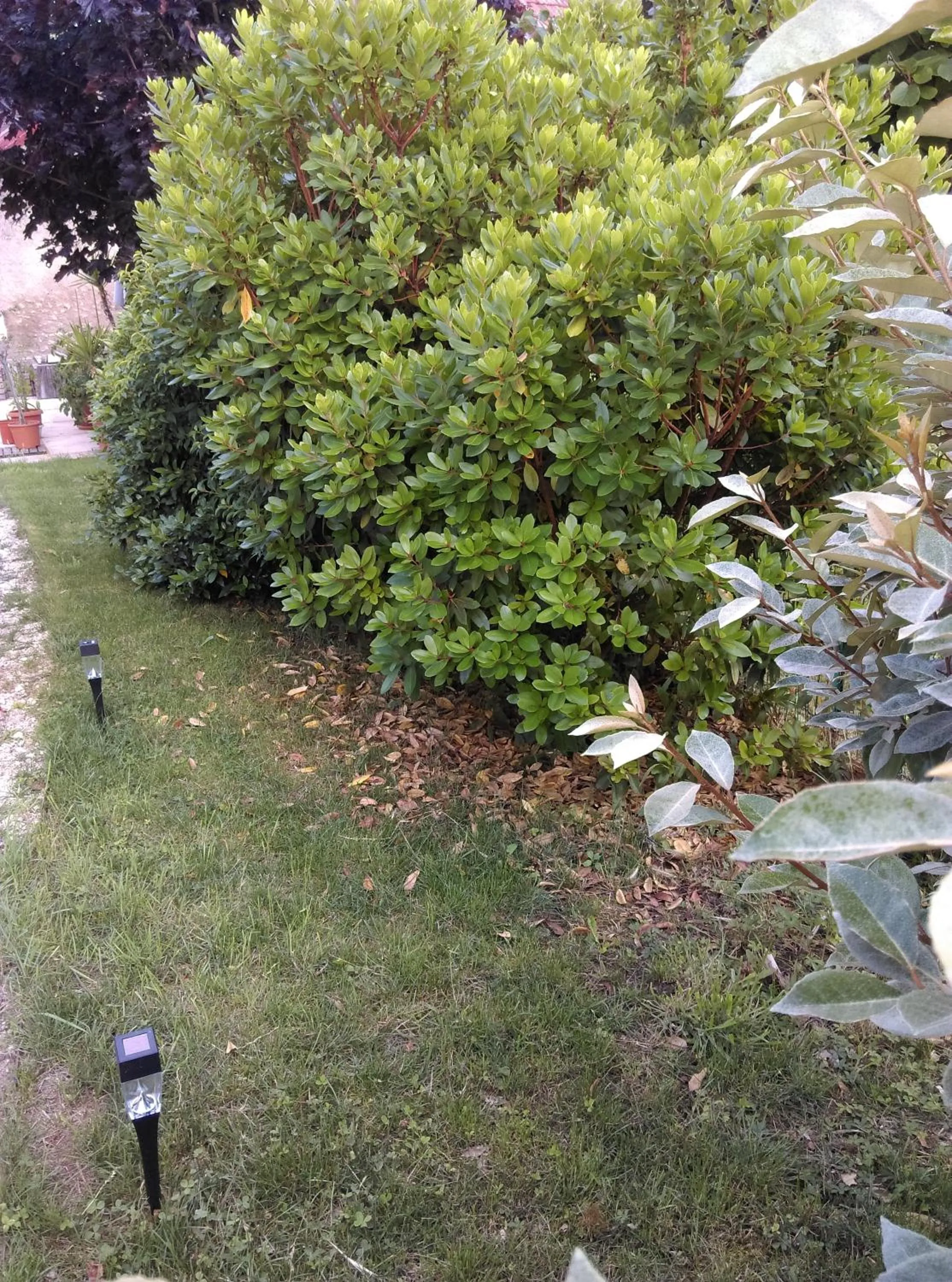 Garden in Ode au Bonheur St Georges sur Cher