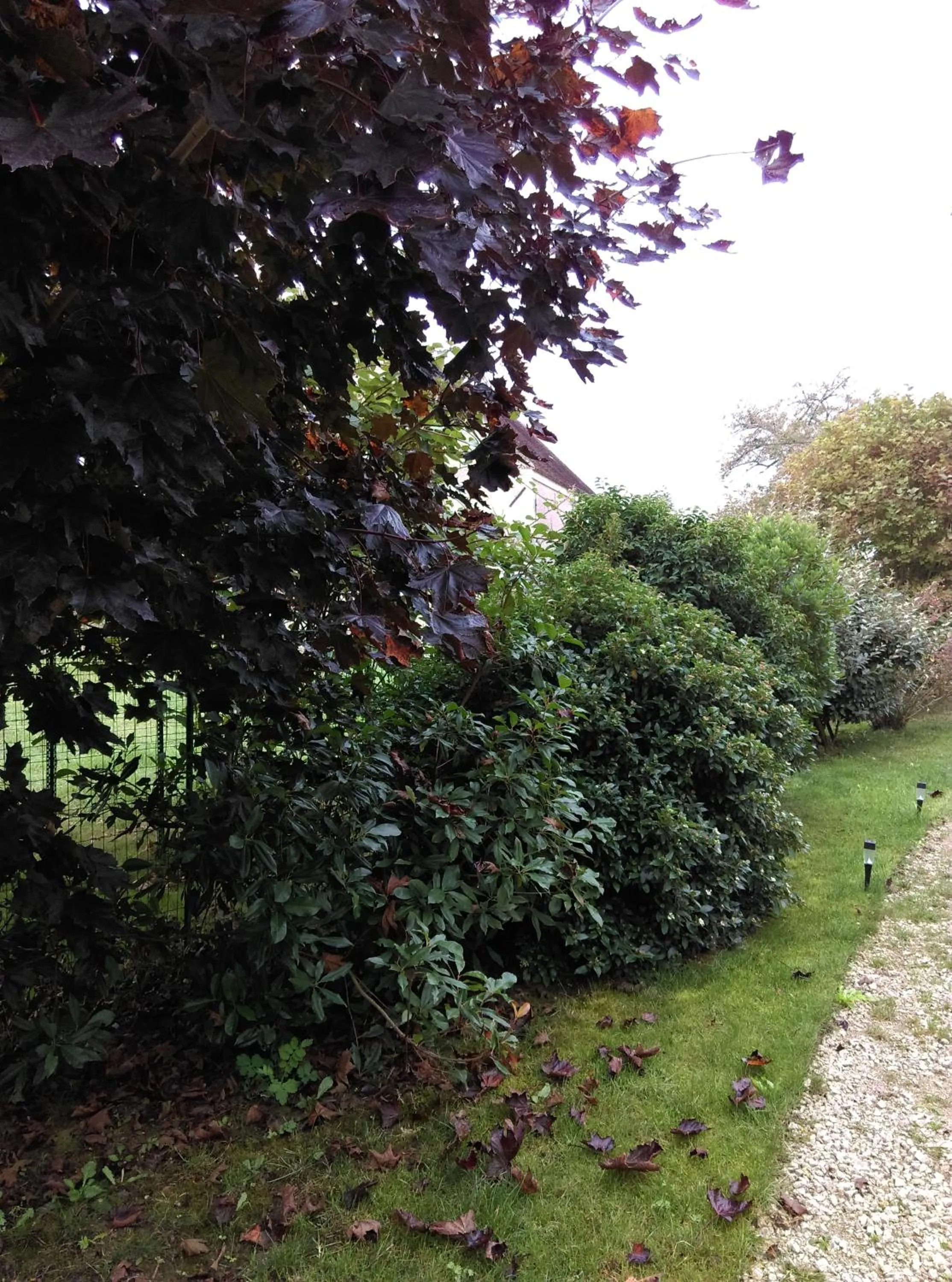 Garden in Ode au Bonheur St Georges sur Cher