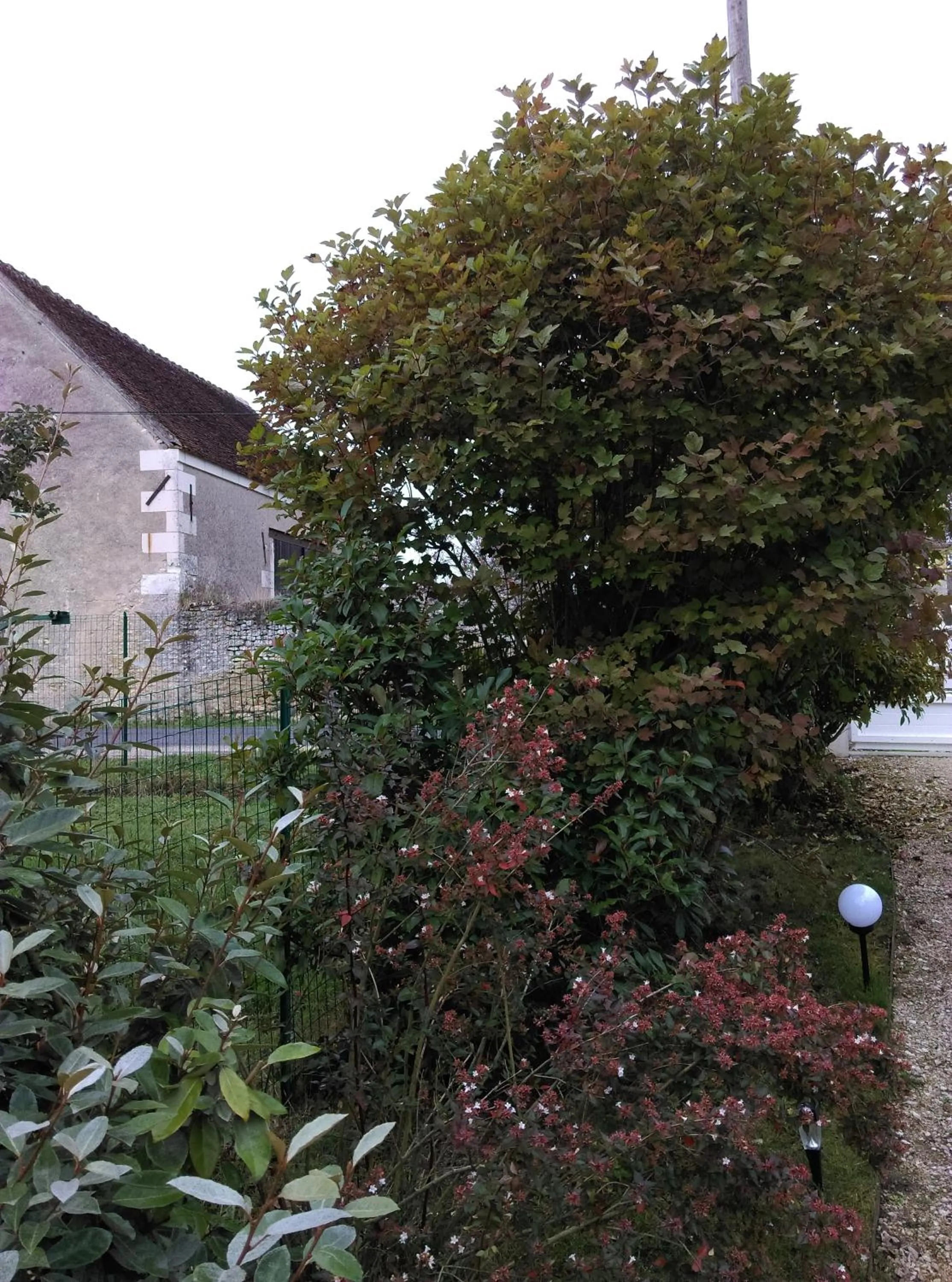 Garden in Ode au Bonheur St Georges sur Cher